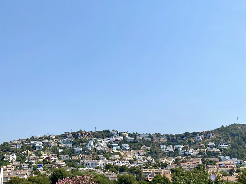 a city with trees and blue sky