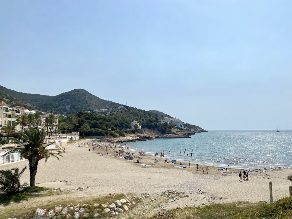 a beach with people on it