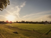 A panoramic view of the club’s training ground bathed in golden afternoon light.