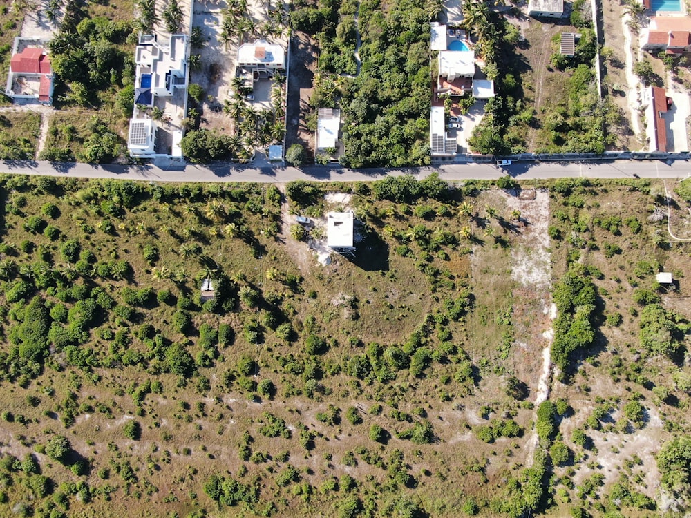 Un paisaje con casas y árboles