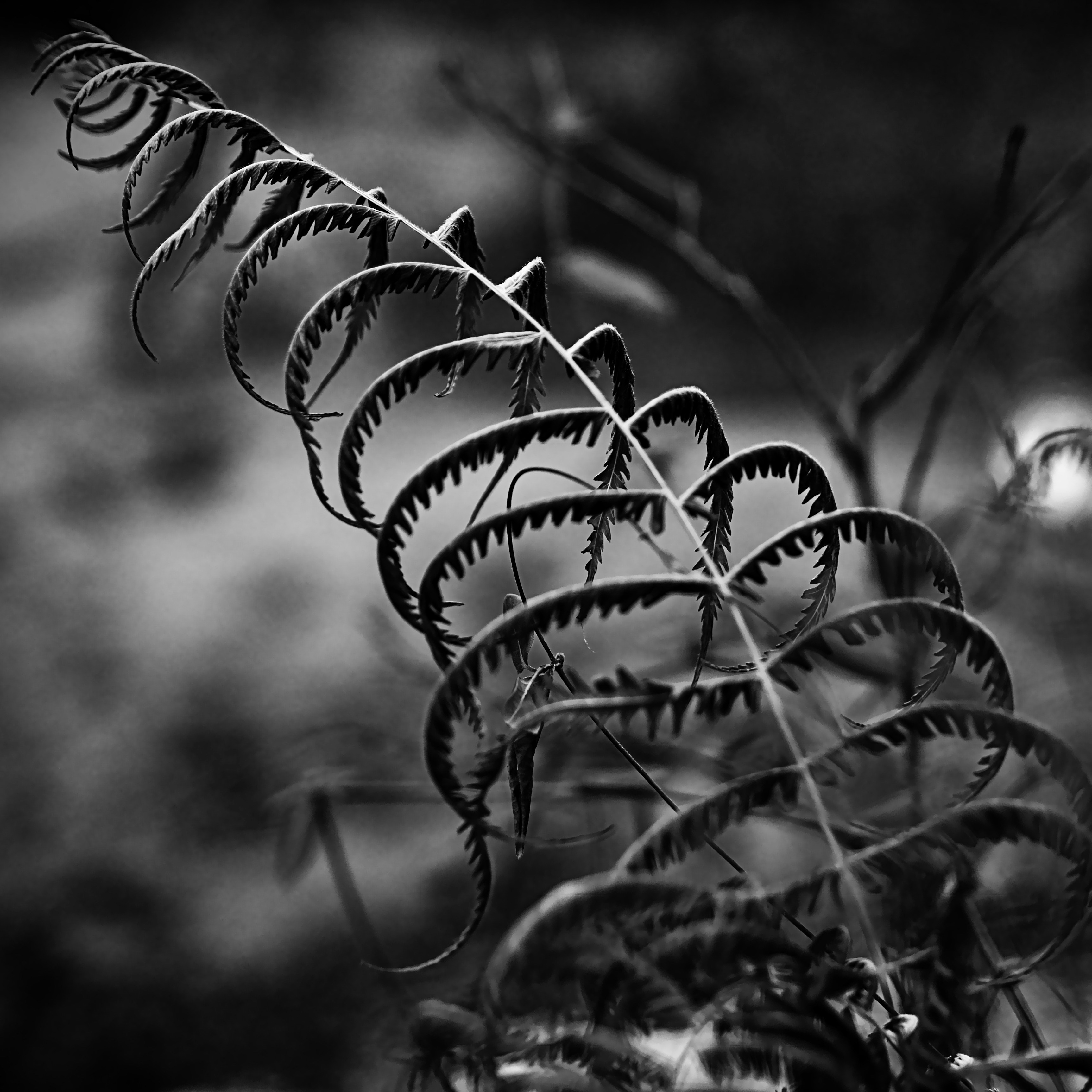 Photo by randomthinking