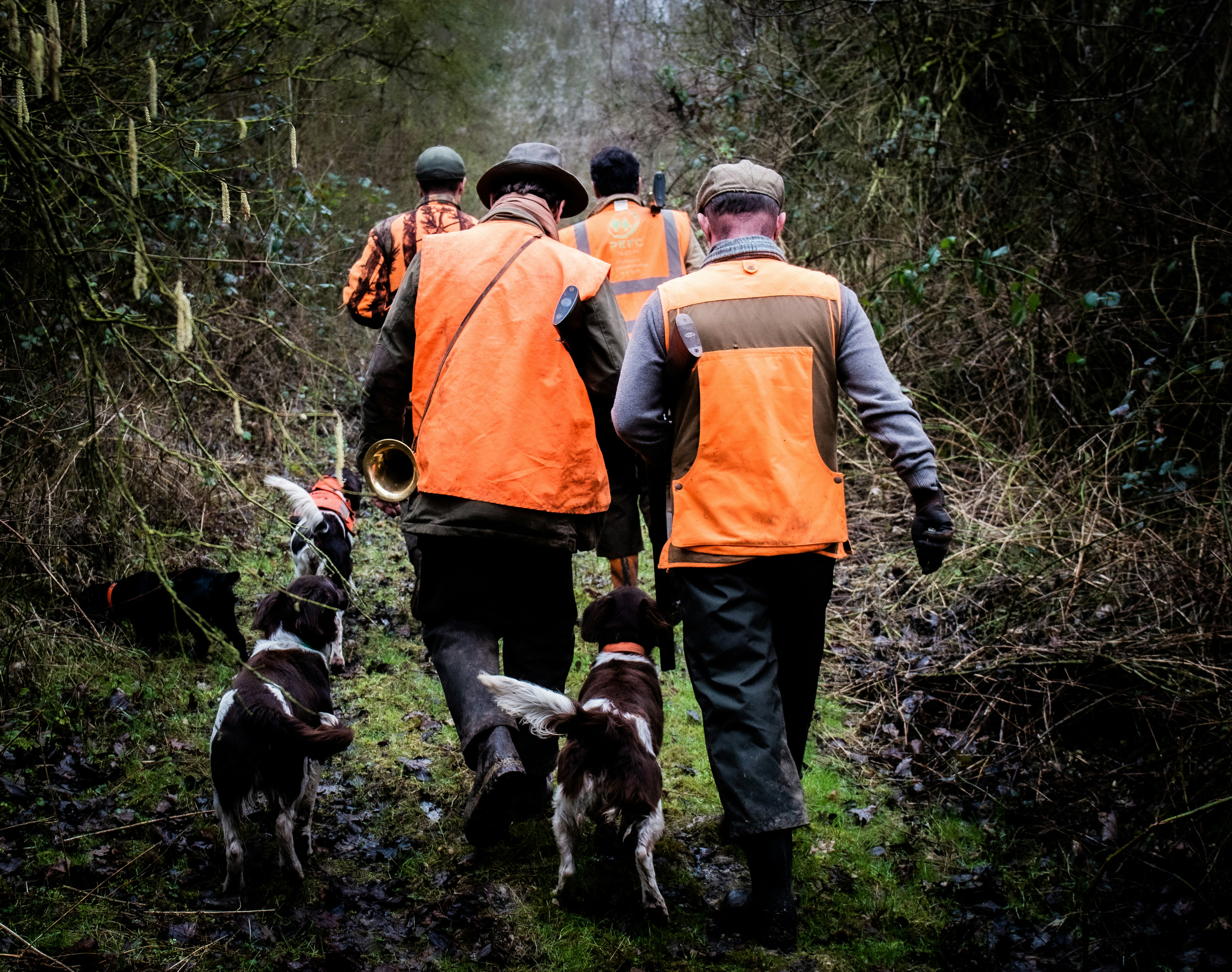 a group of people with dogs in the woods