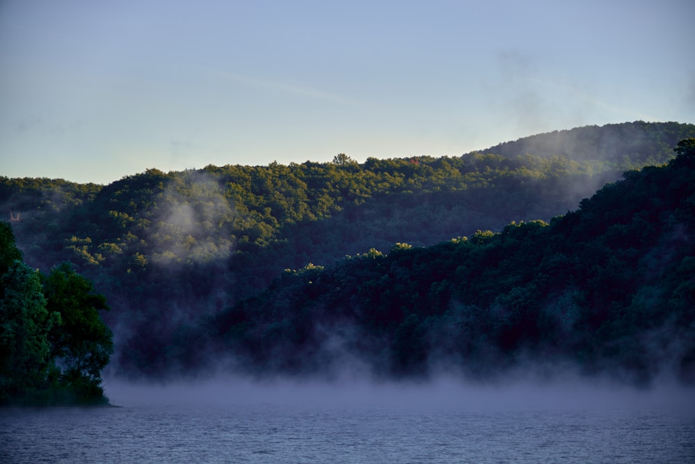 a body of water with trees on the side