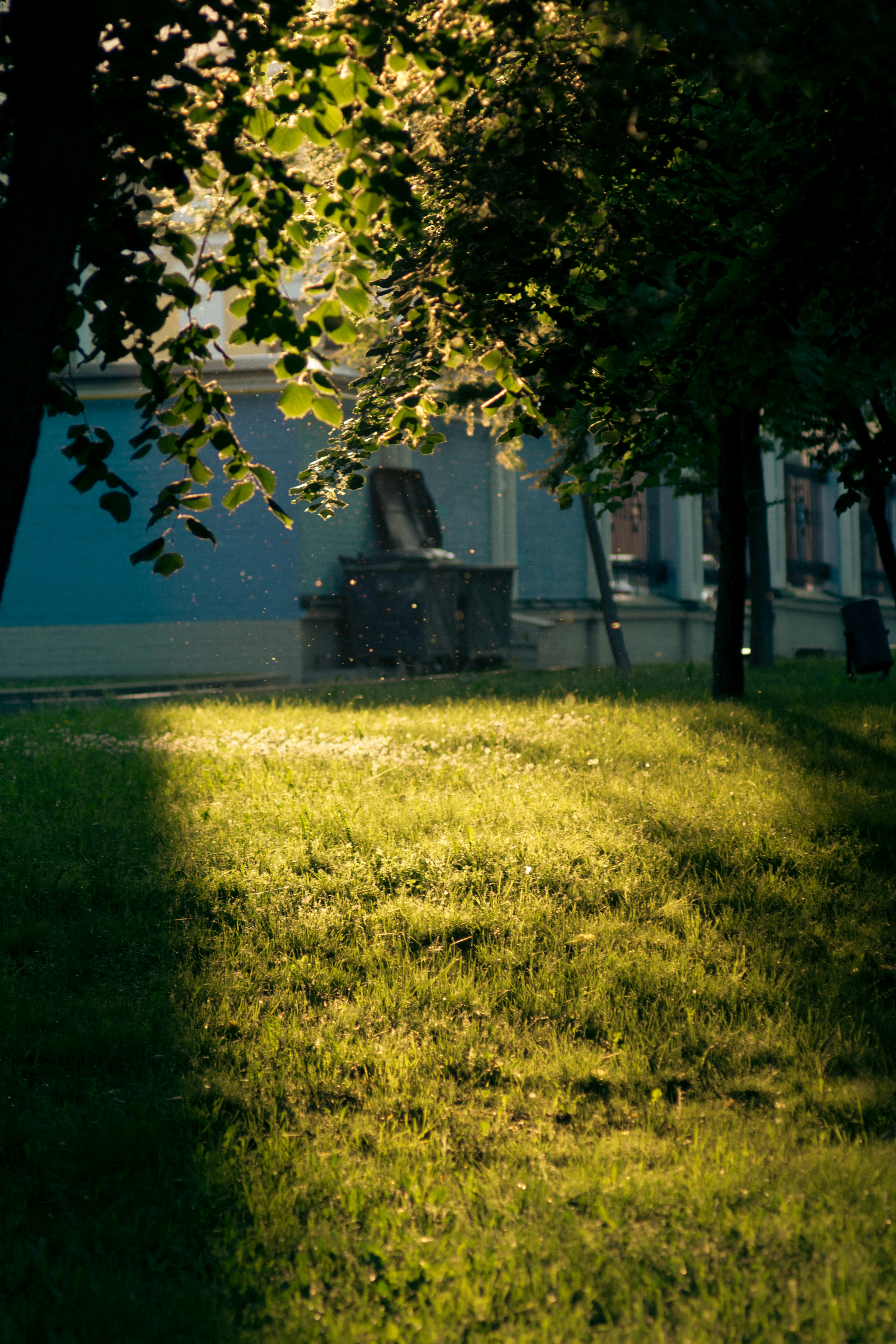 Photo by creamy_vanilla