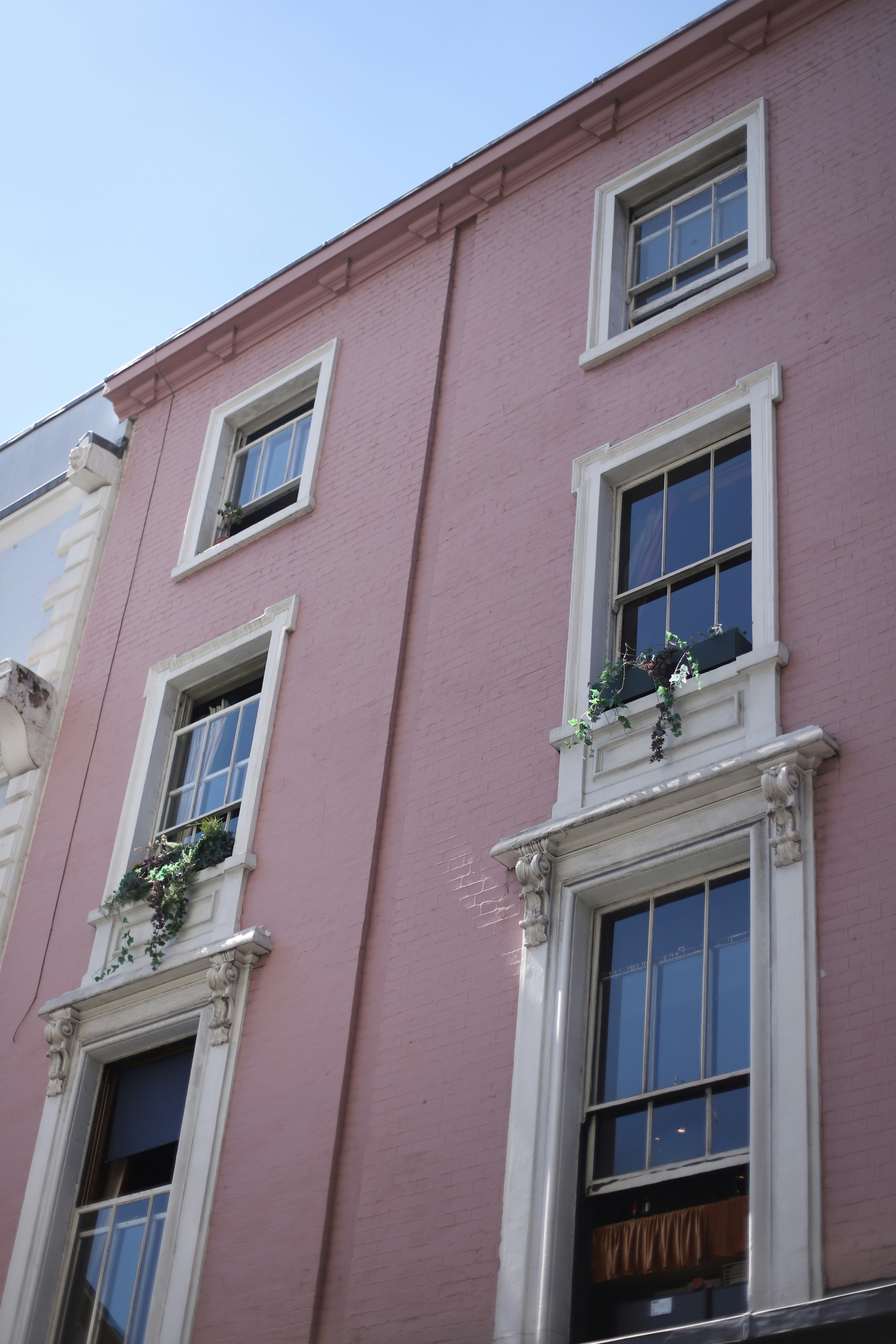 Photo by hollybooker15