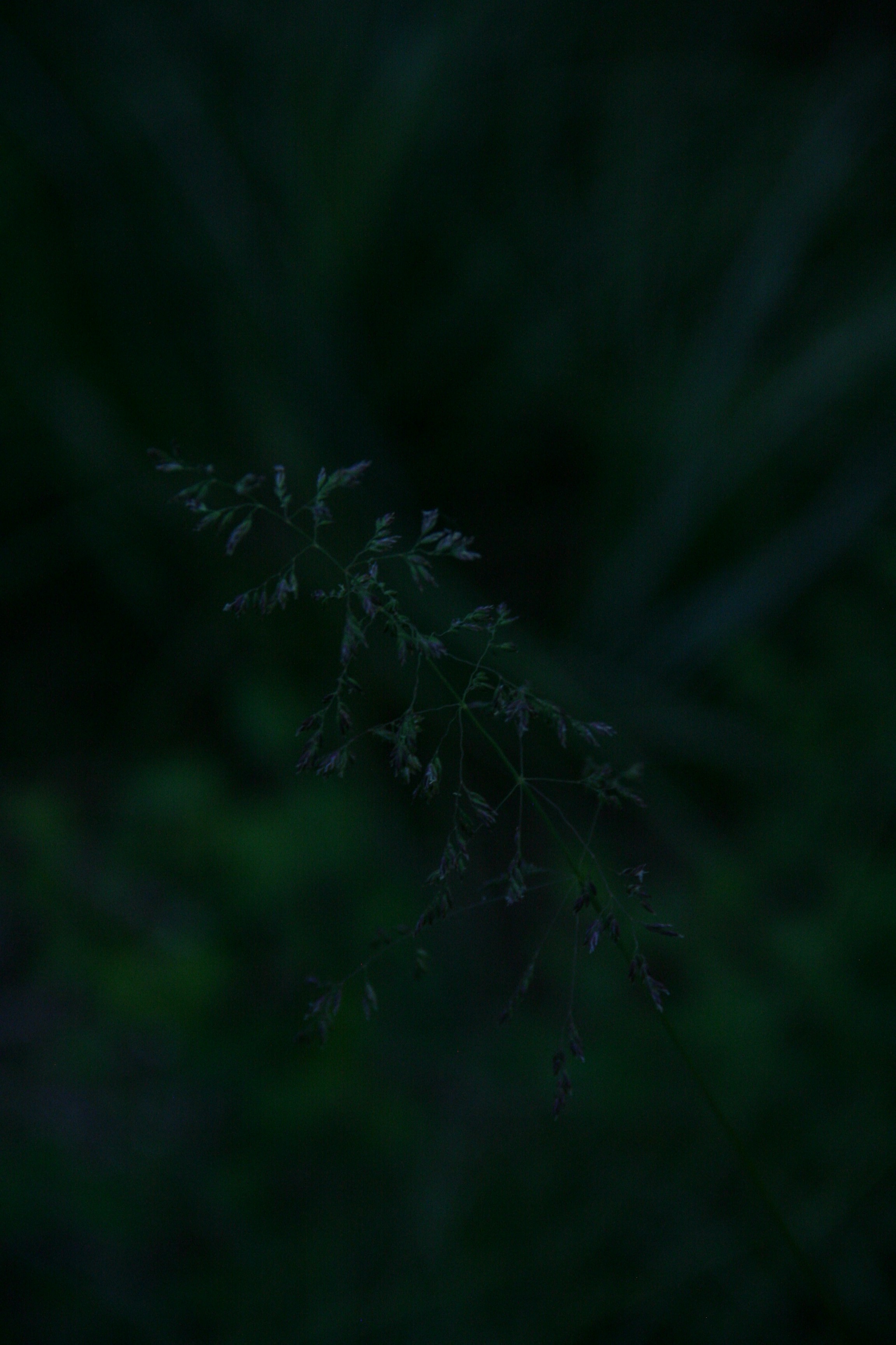 Photo by kynzie_ware