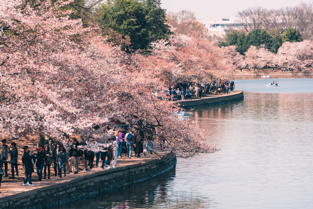 a group of people standing on a dock by a body of water