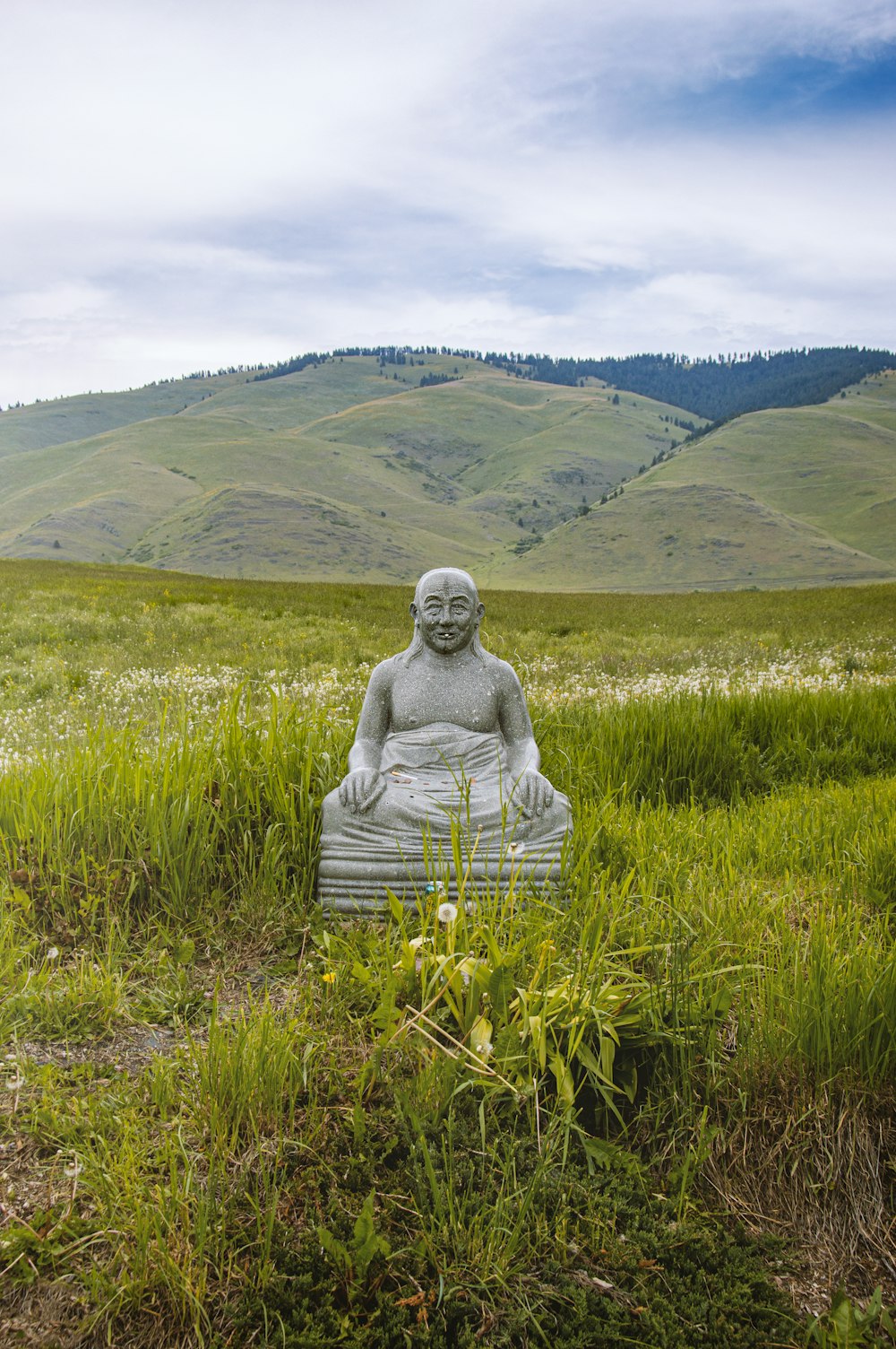 a statue in a grassy field