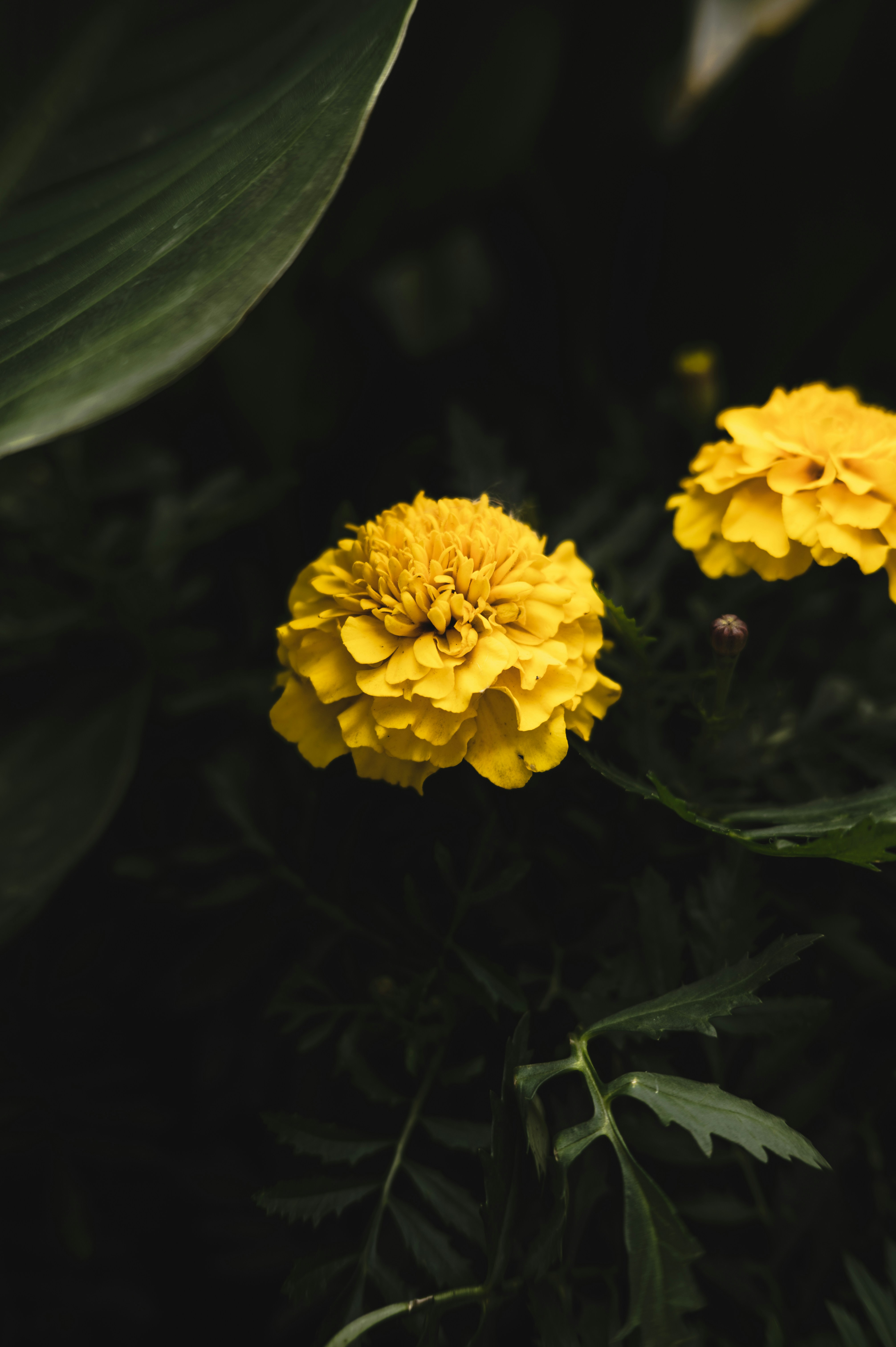 Photo by ryunosuke_kikuno