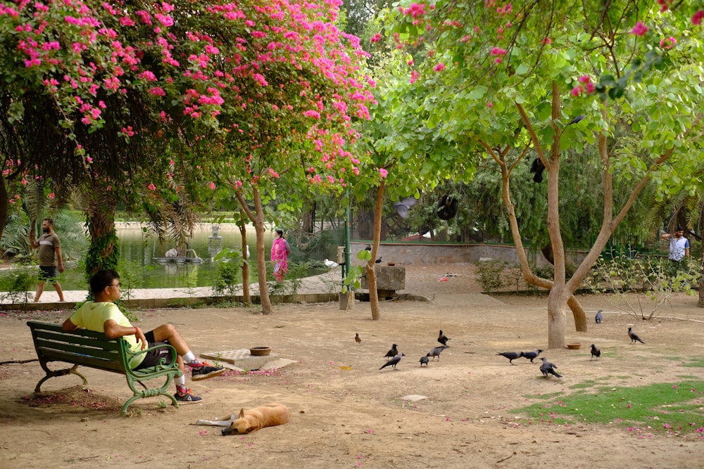 a person sitting on a bench in a park with birds
