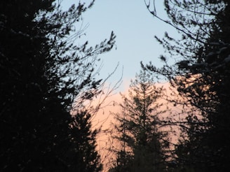 A serene sunrise over a forest, with subtle Native American patterns framing the scene.