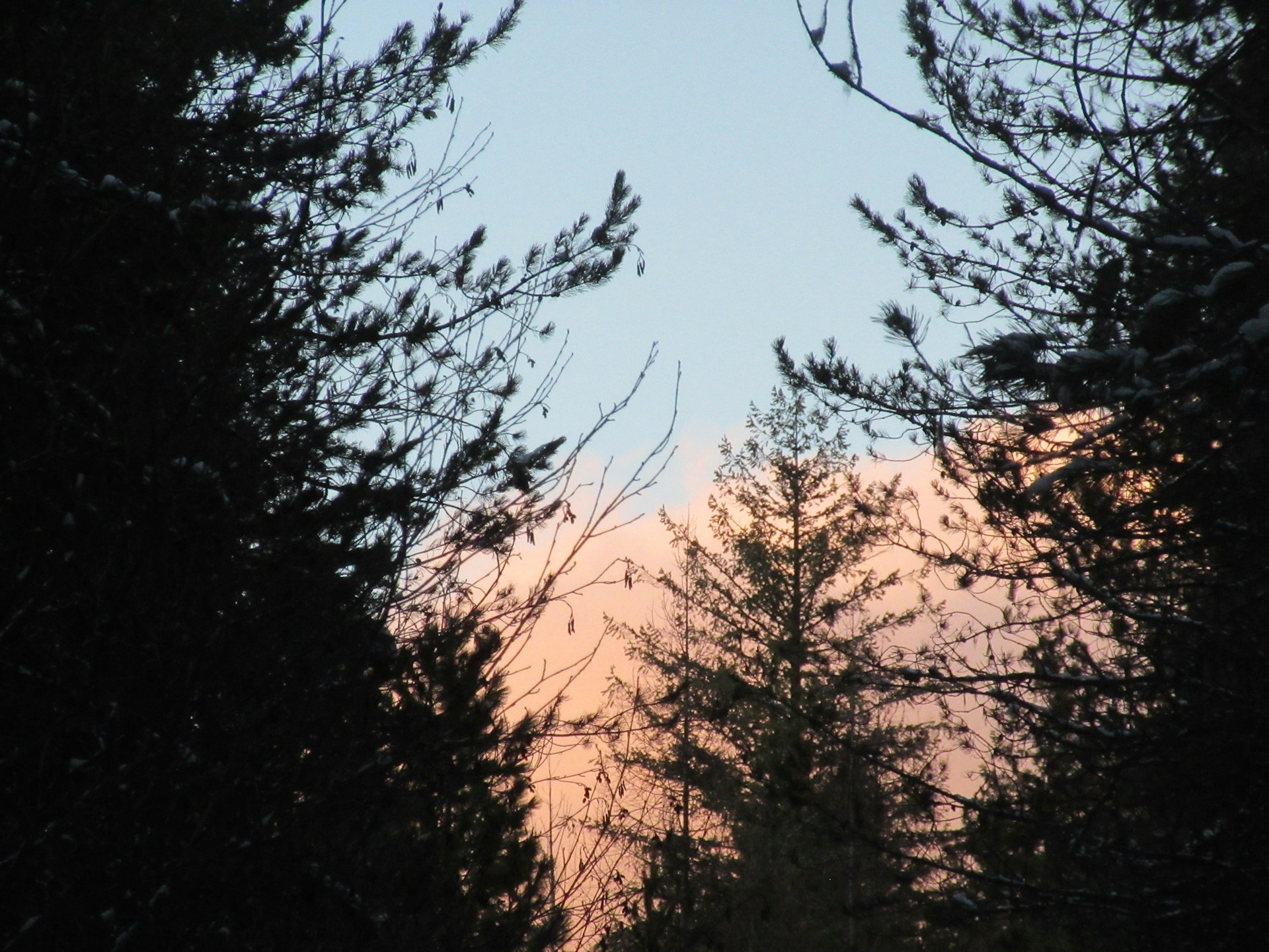 gray computer monitor