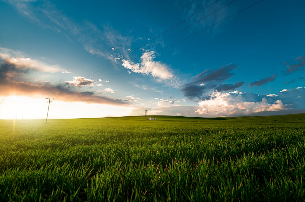 a field of grass with a blue sky and clouds