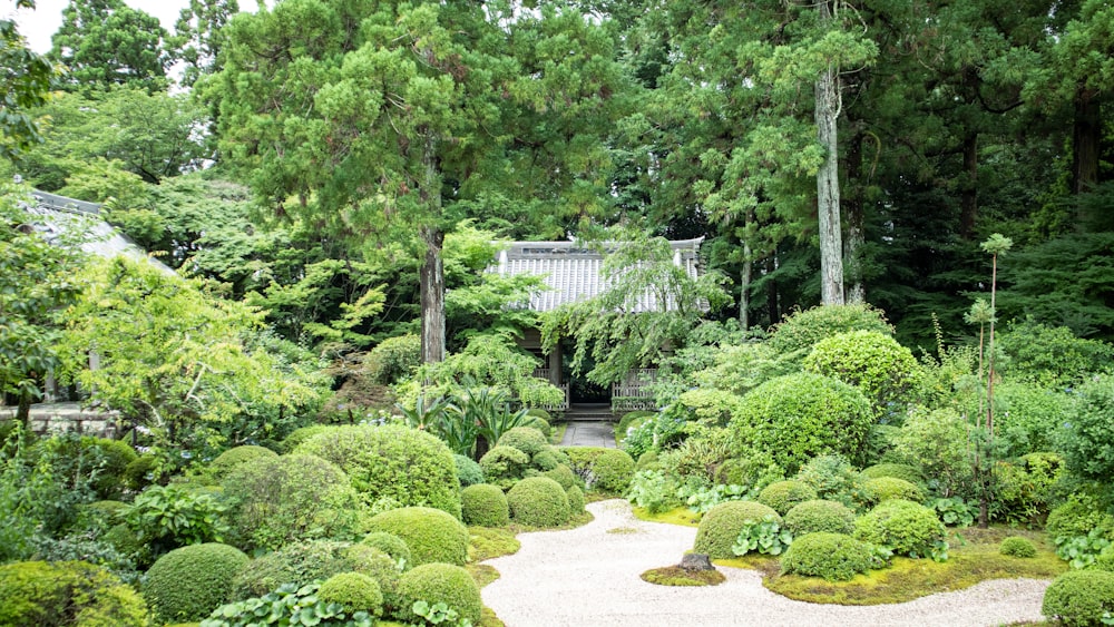 a garden with trees and bushes