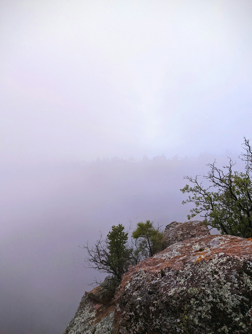 a rocky cliff with trees on it