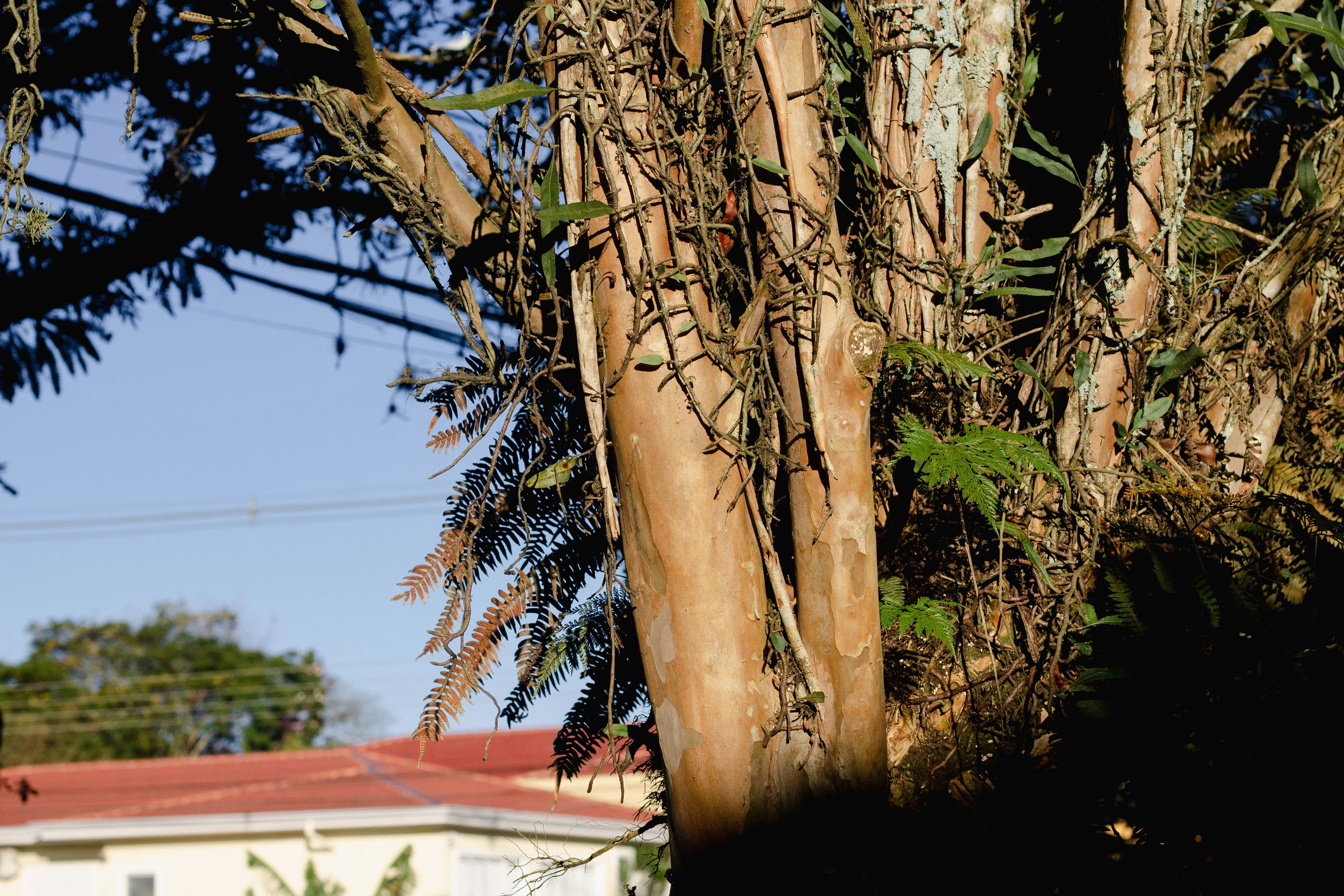 Photo by salescreations