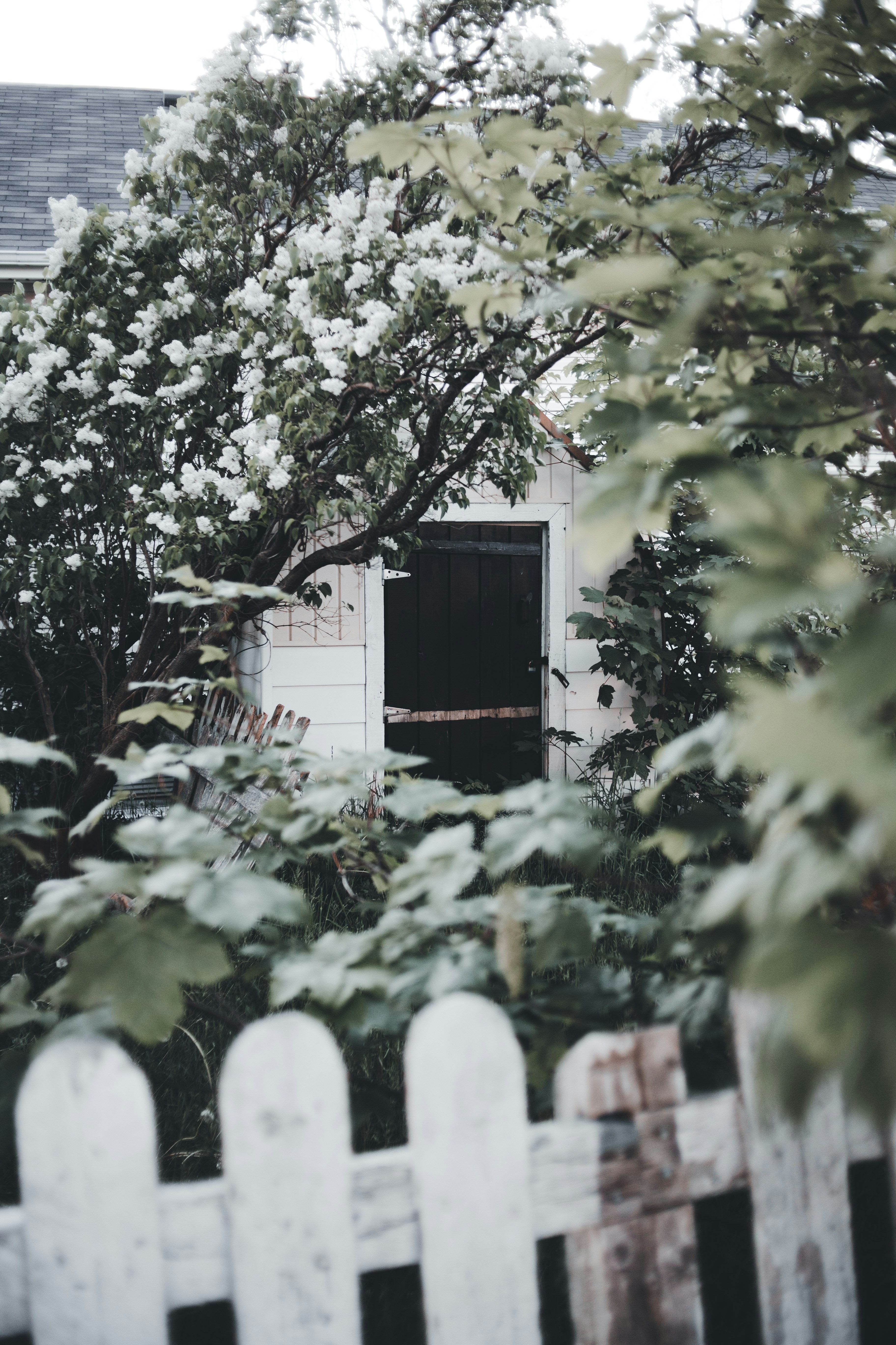 Photo by introspectivedsgn