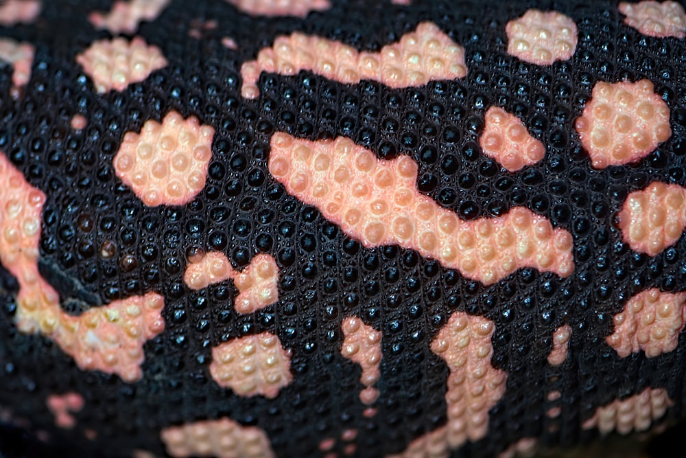 a close up of some brown and orange crystals