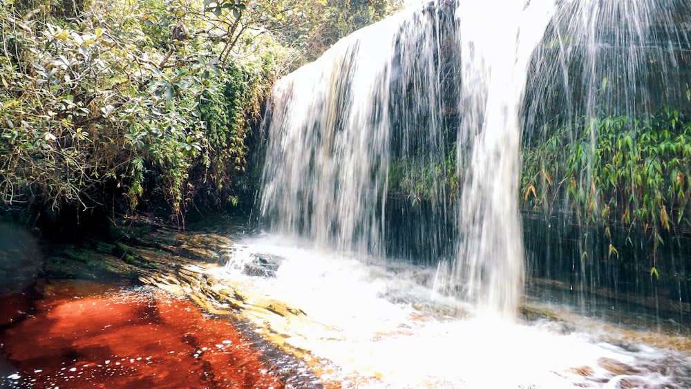 a waterfall with trees around it