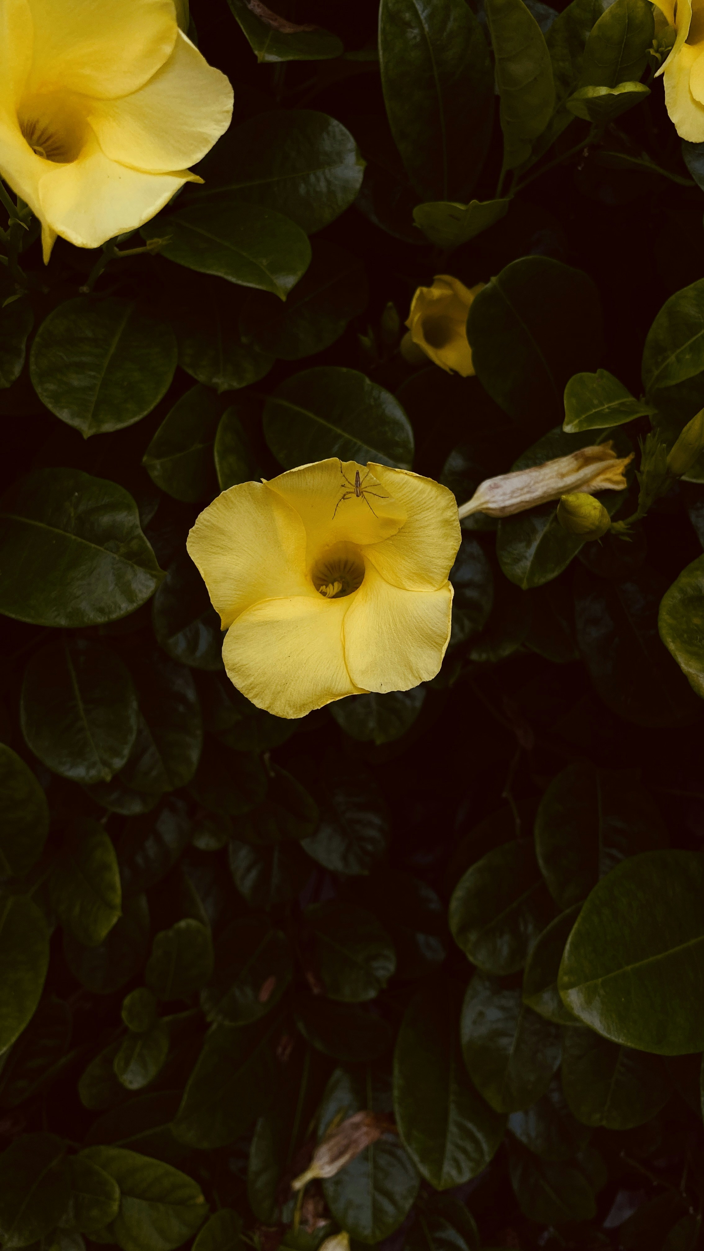 Photo by meindheeraj