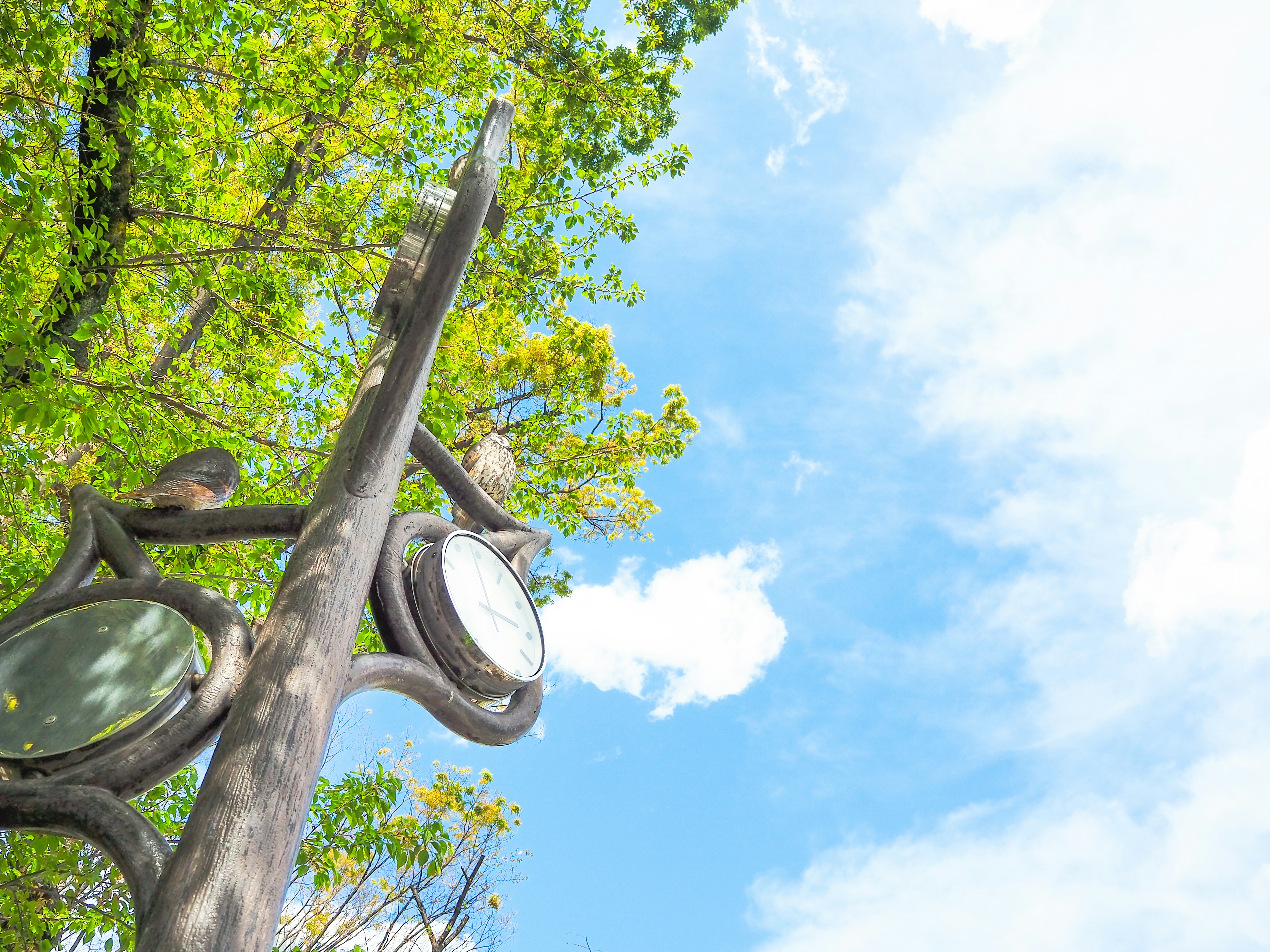 Photo by blue_hamberts