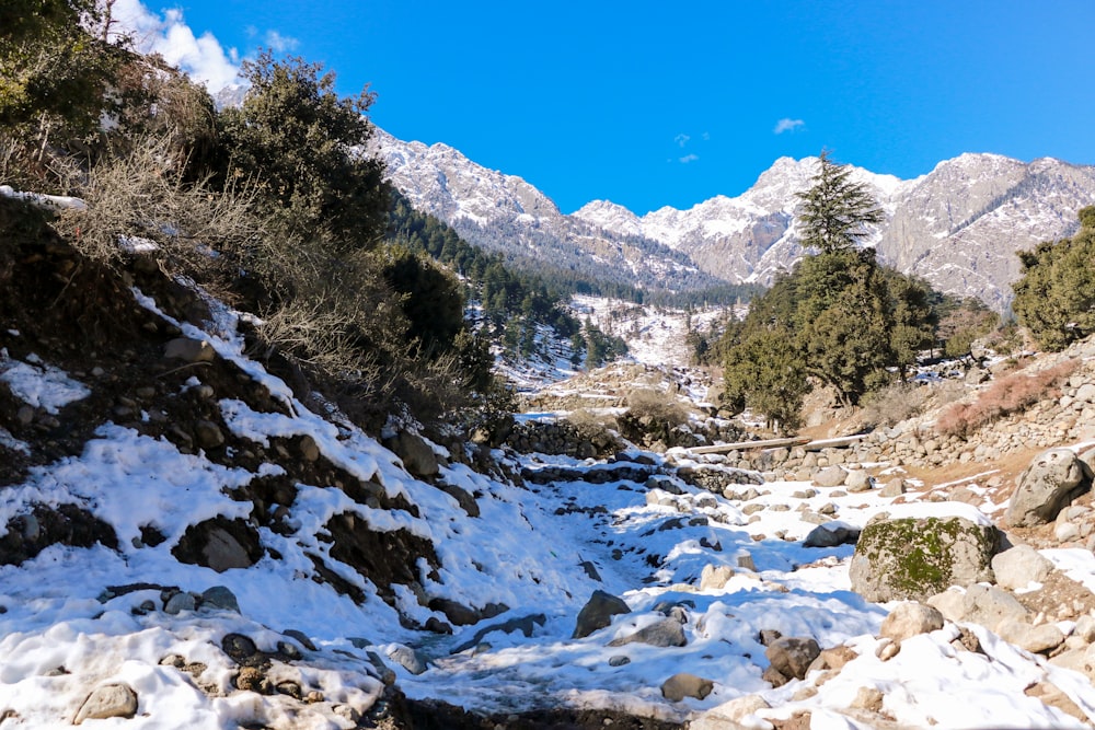 a river running through a snowy valley