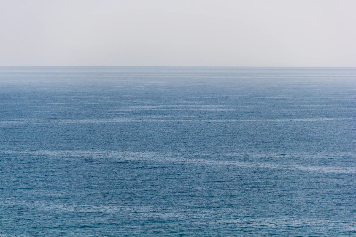 A calm, open stretch of ocean under a pale sky