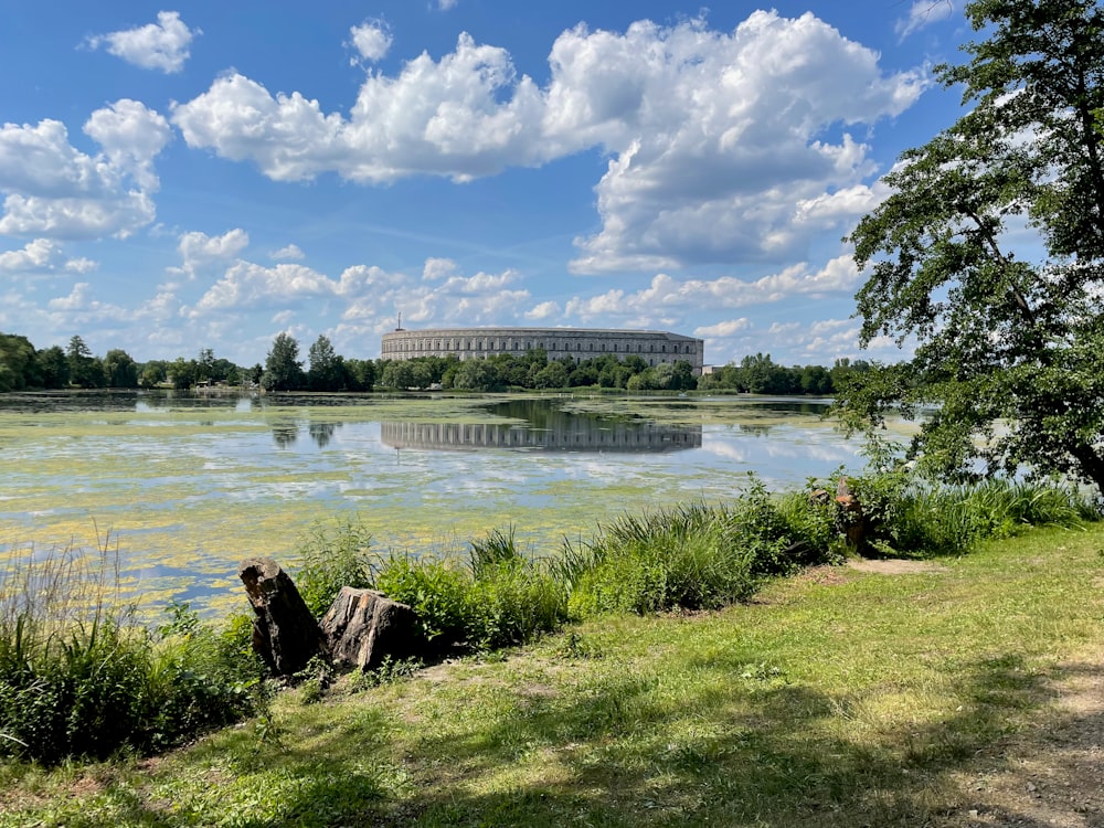 a body of water with grass and trees around it