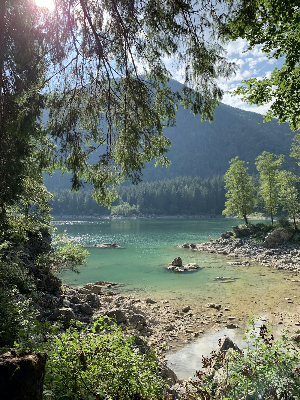 uno specchio d'acqua con alberi e rocce intorno