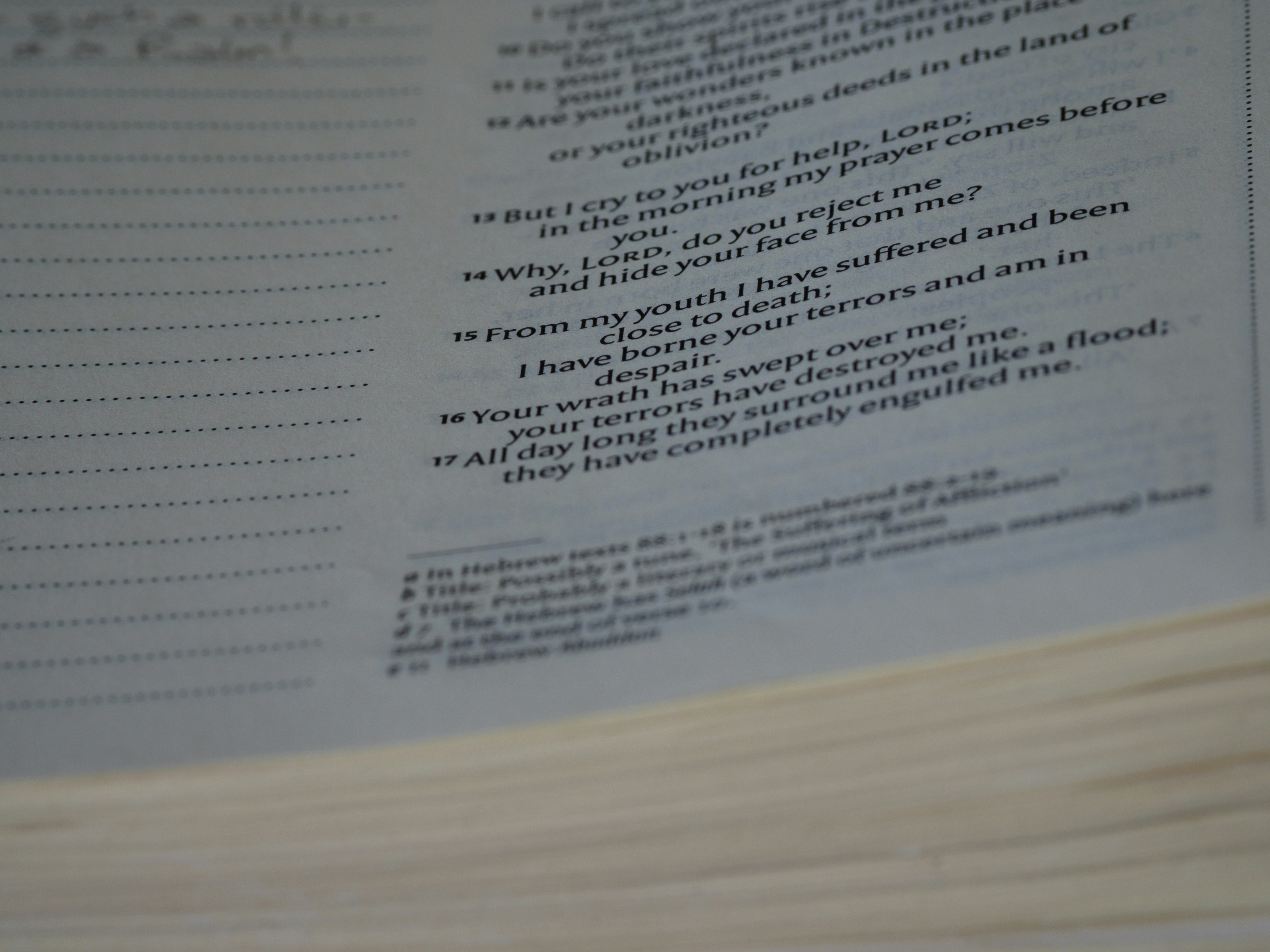 photo-1655967022662-3d63d0923508?ixid=M3wxMjA3fDB8MXxzZWFyY2h8MTR8fHNlYyUyMDMlMjBlbWF0aCUyMHBhcGVyc3xlbnwwfHx8fDE3NjY2MDUxOTB8MA\u0026ixlib=rb-4.1.0