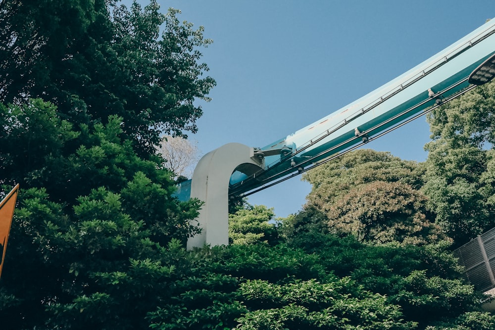 a roller coaster going through trees