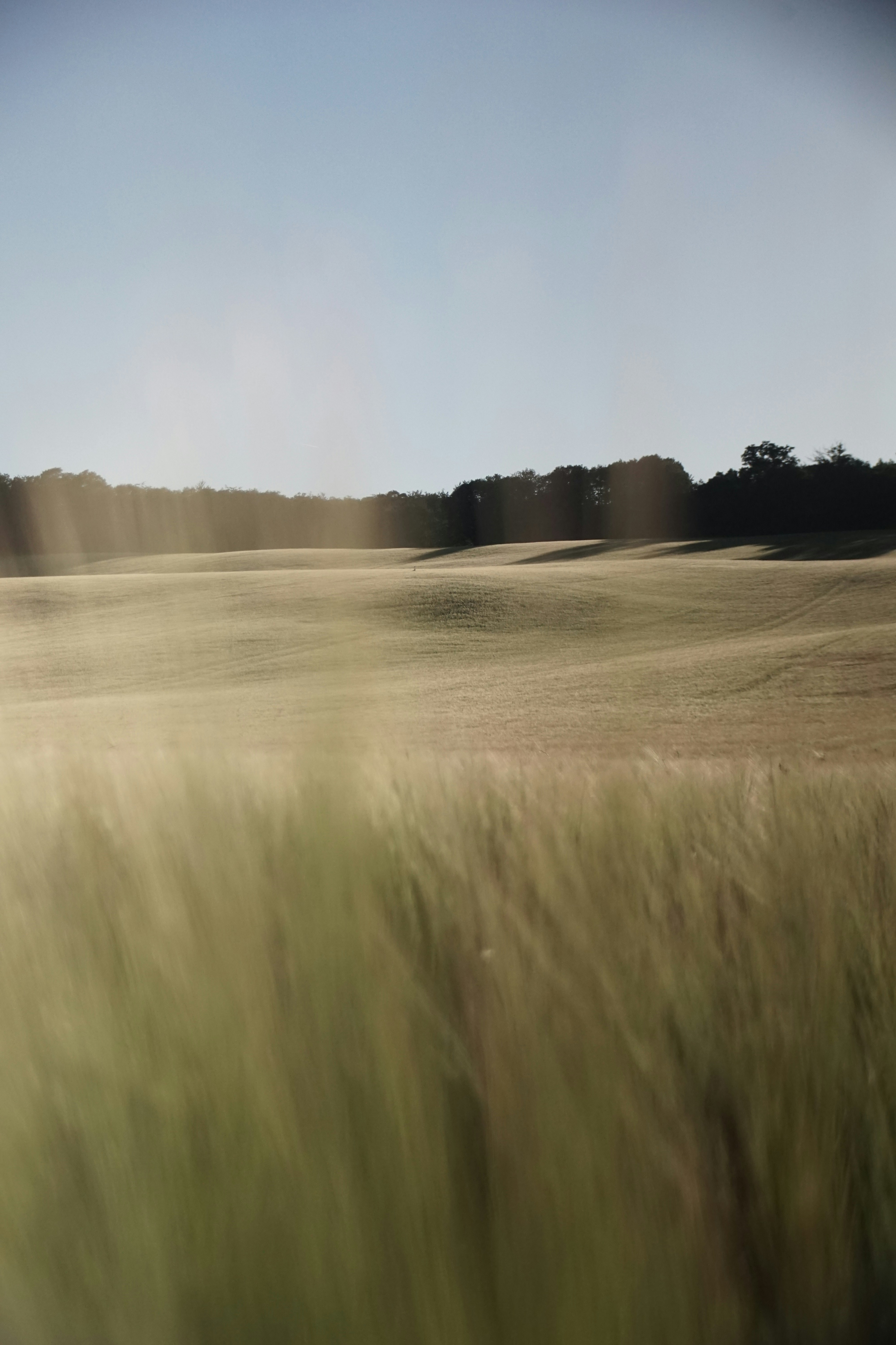 Photo by danielschuh