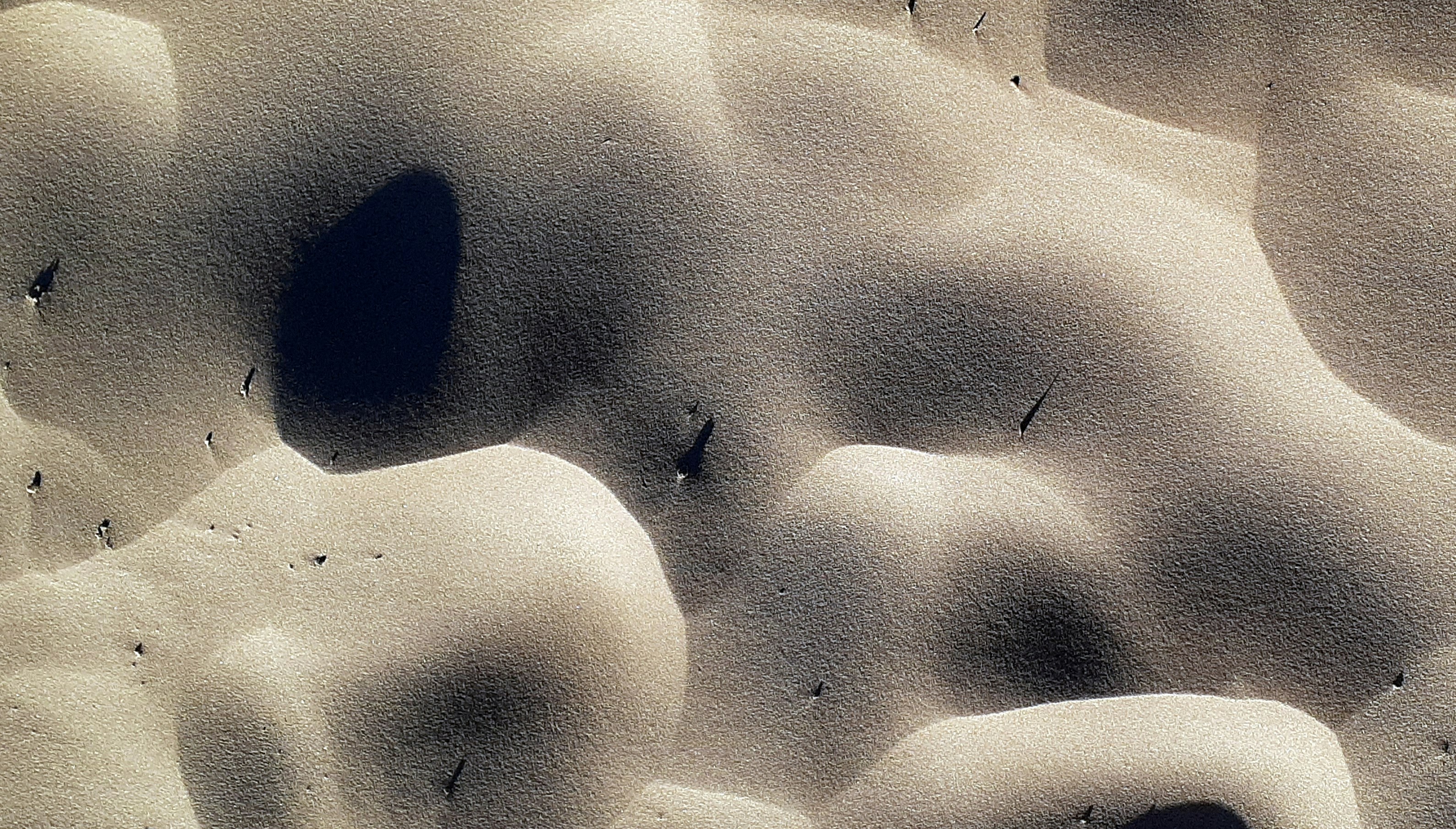 Photo by craigmanners_com