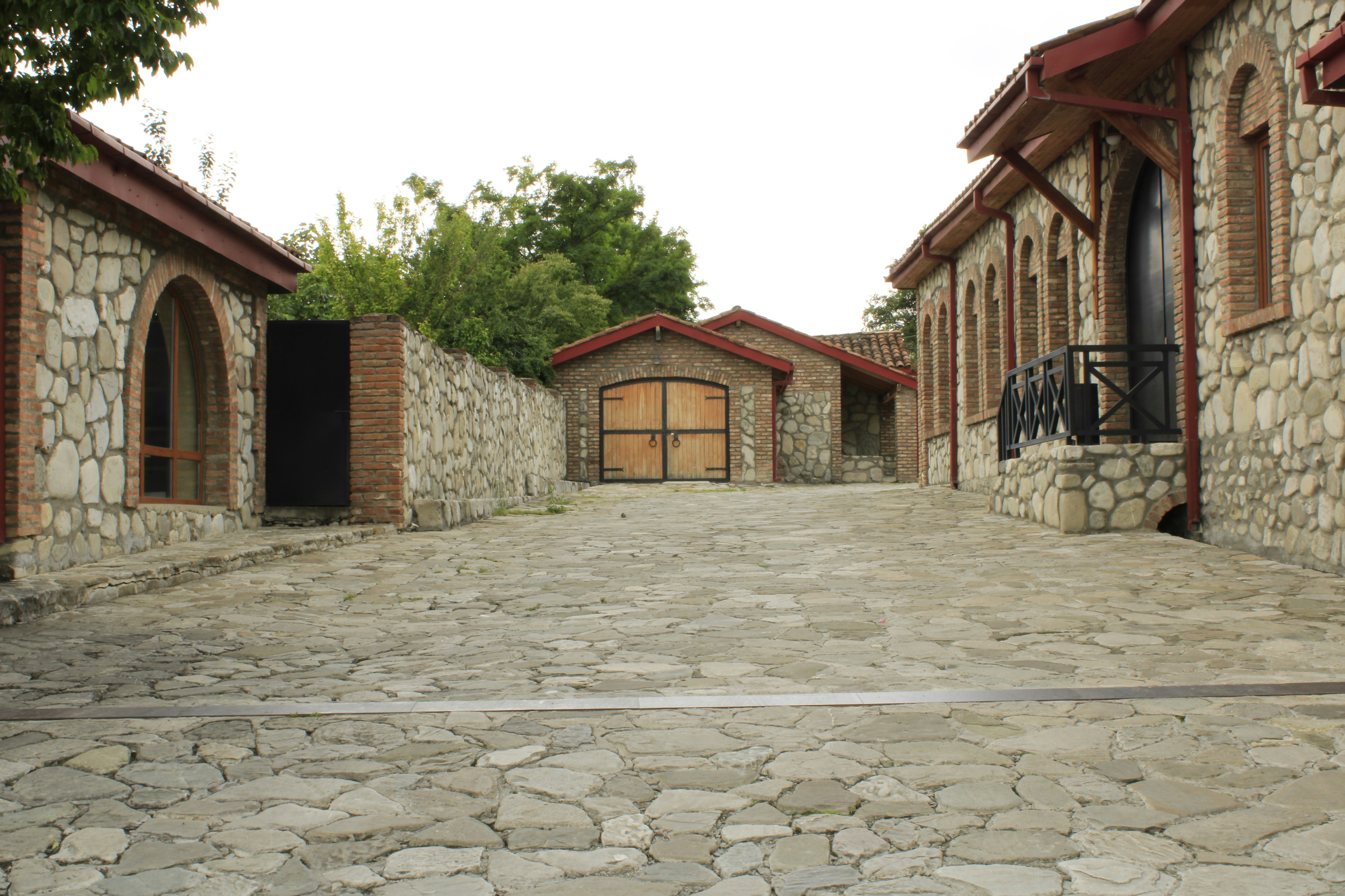 Photo by fatemehmousaviany