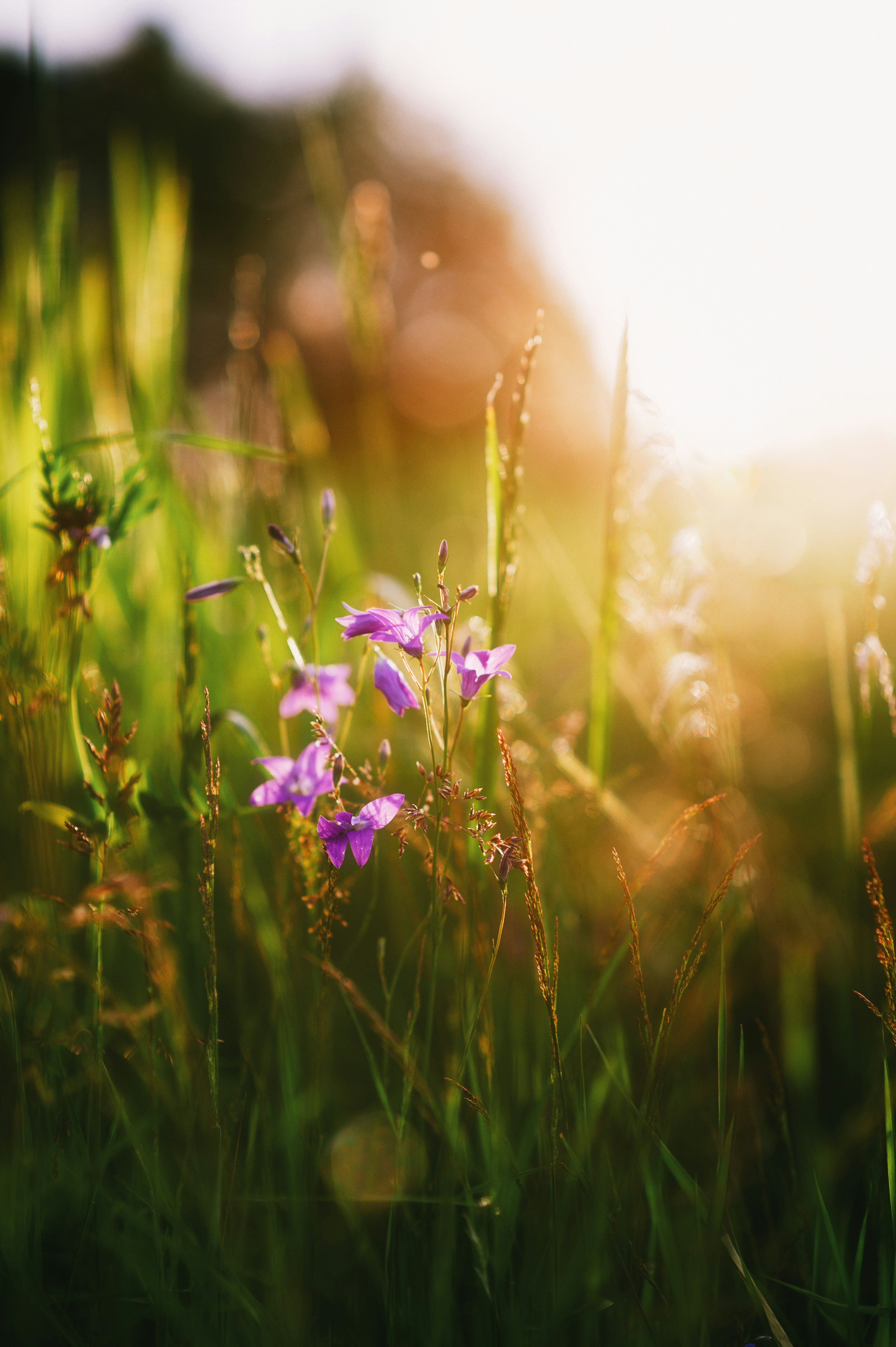 Photo by evil_bumblebee