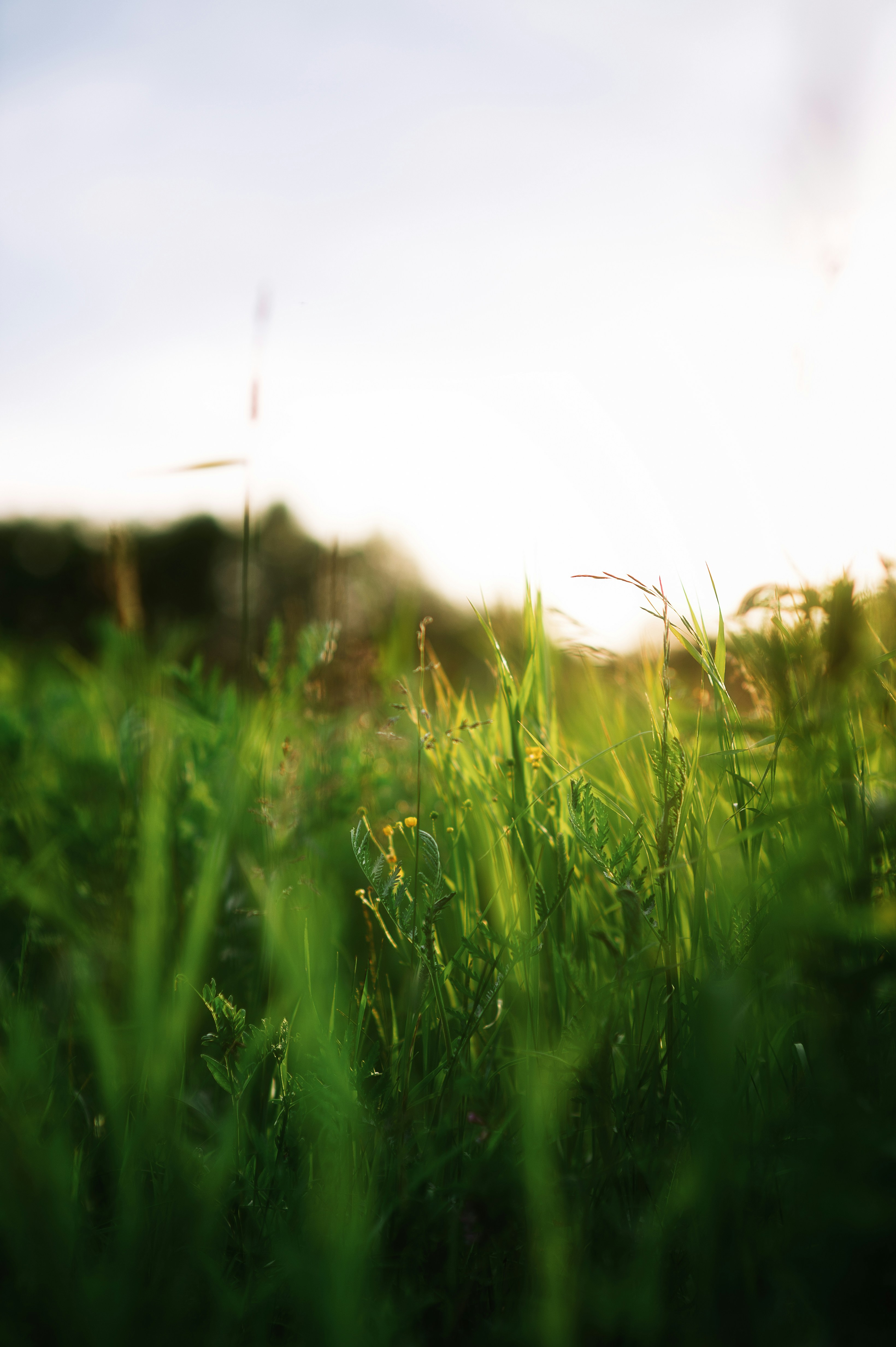 Photo by evil_bumblebee