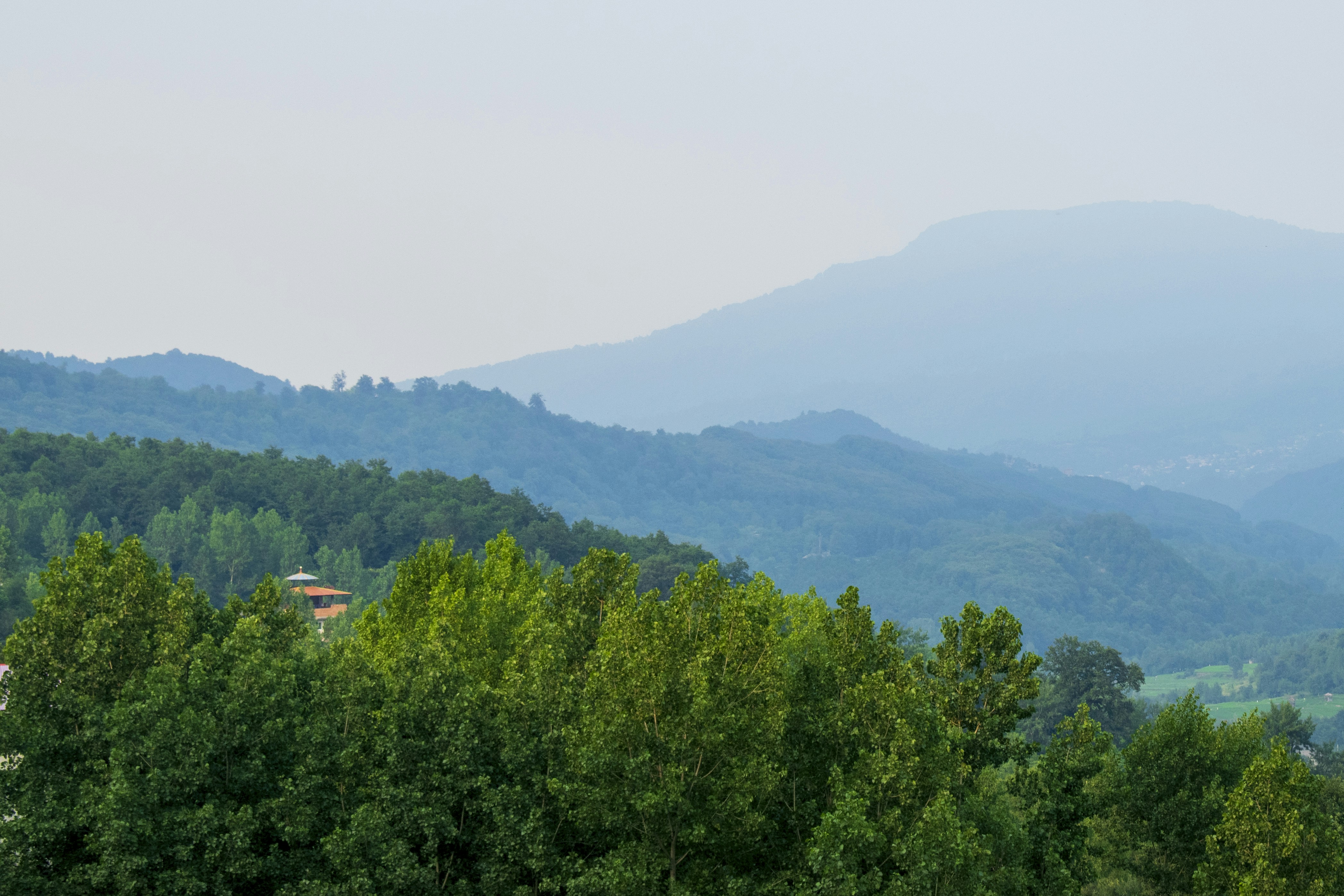 Photo by aliahmadidesign