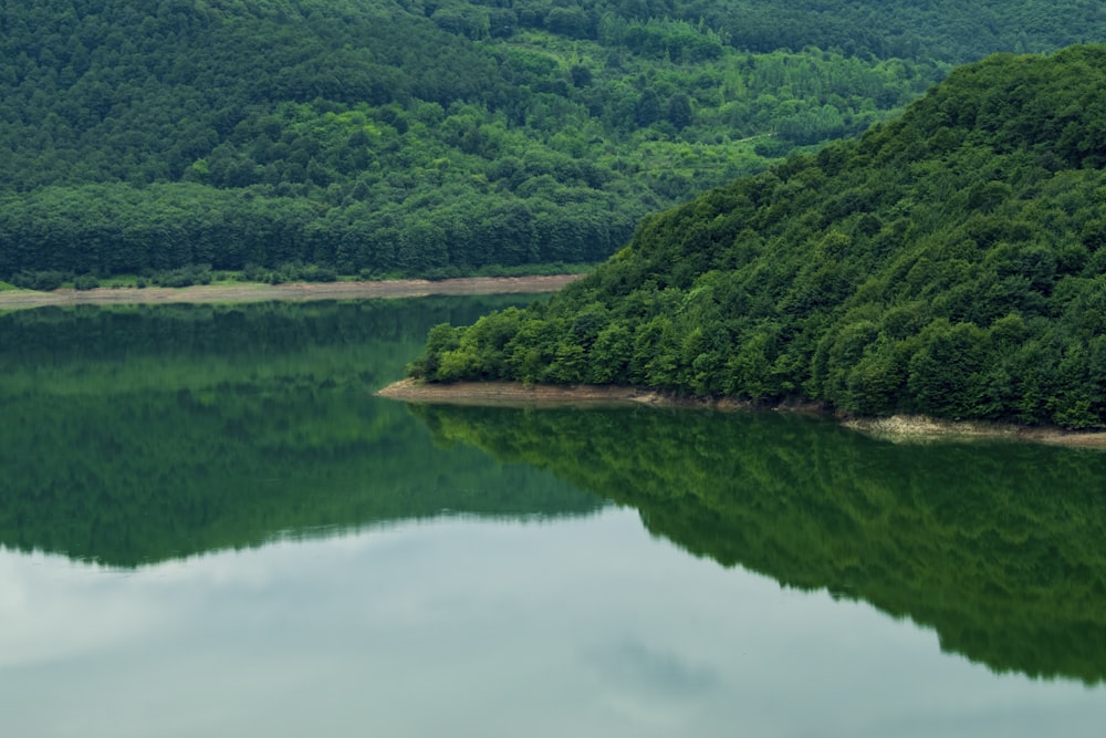 a lake surrounded by trees