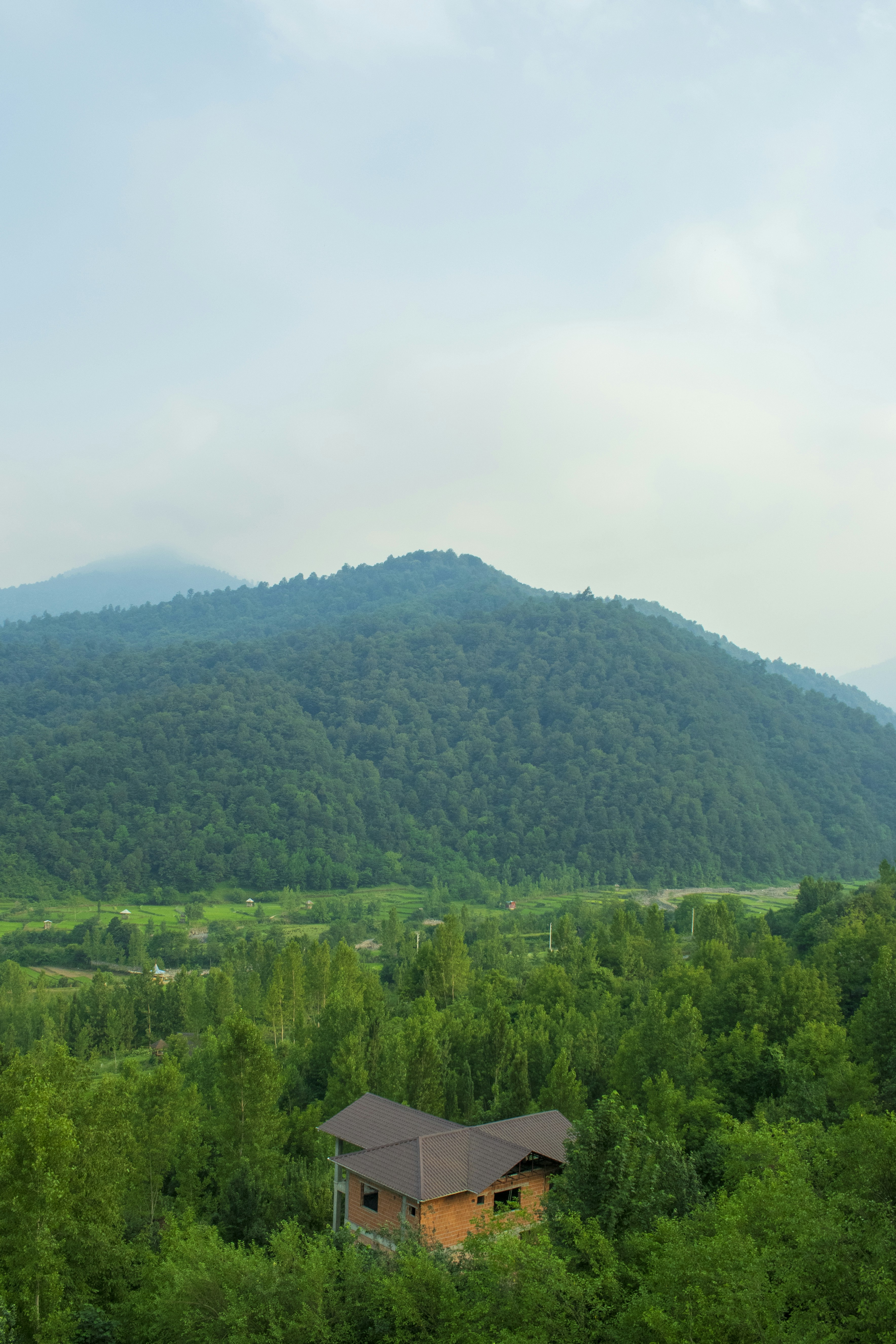 Photo by aliahmadidesign