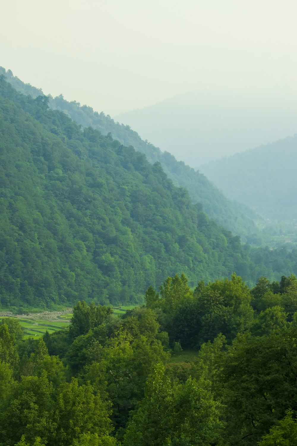 a large green mountain