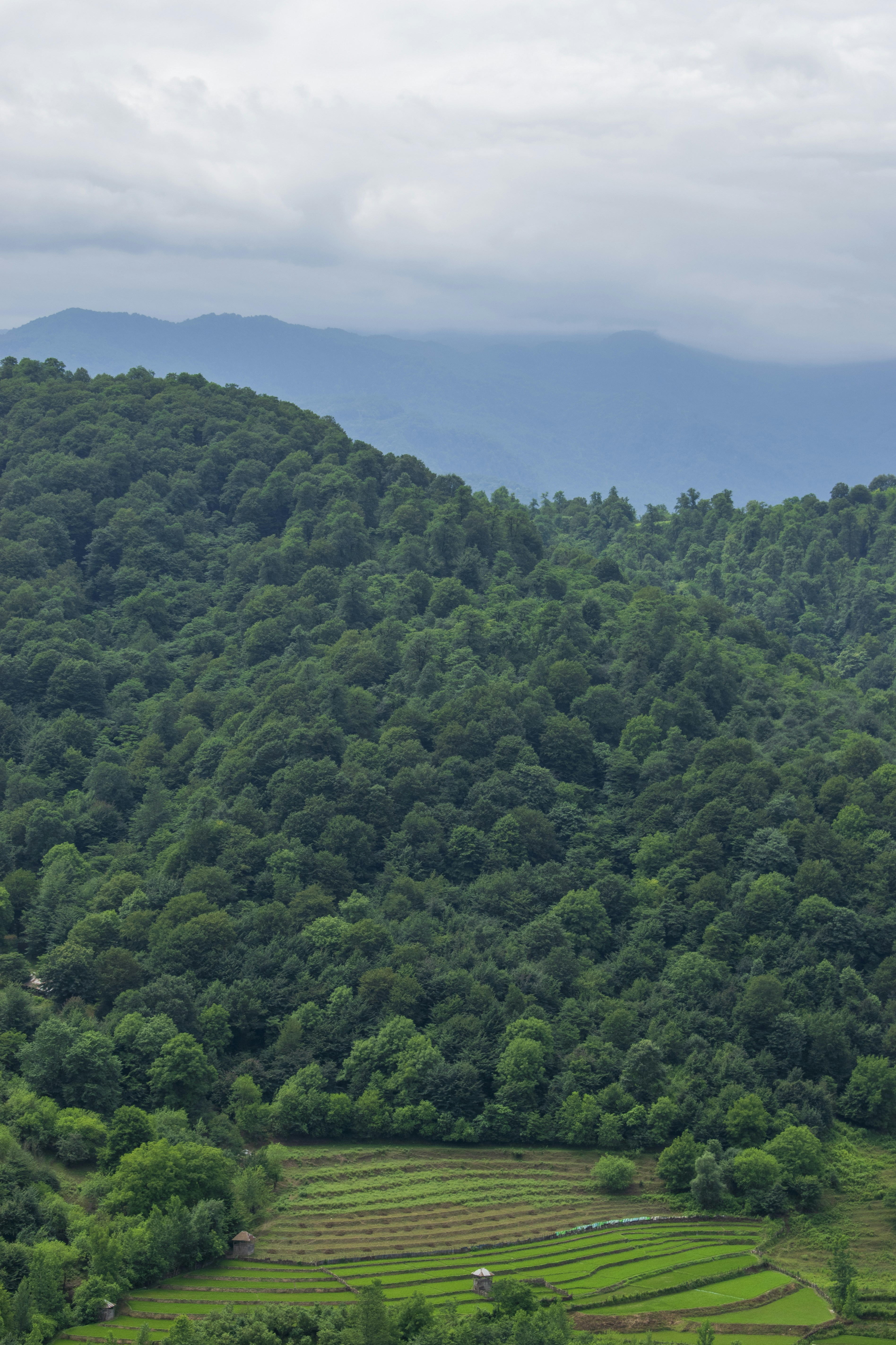 Photo by aliahmadidesign