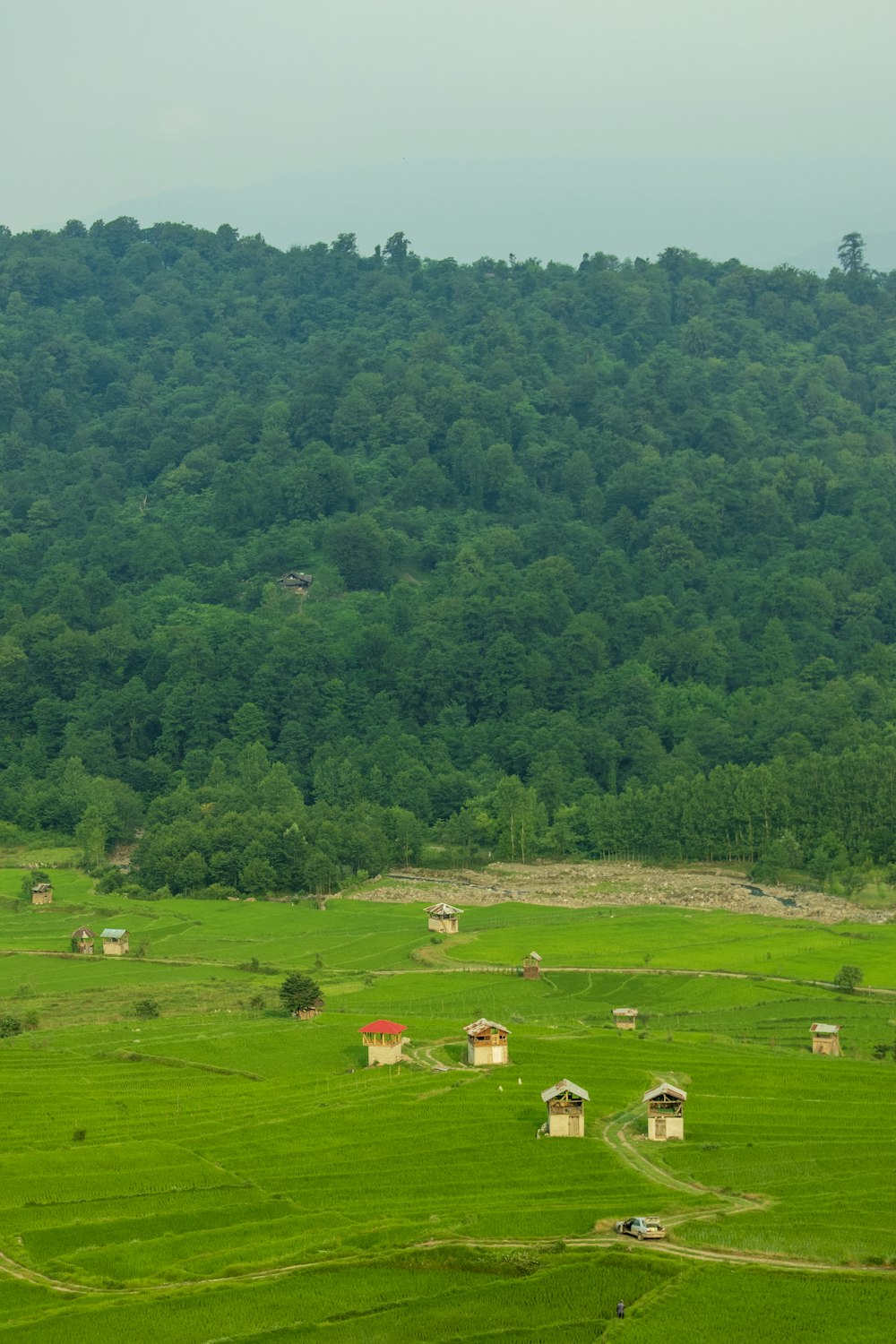 a green field with houses and trees