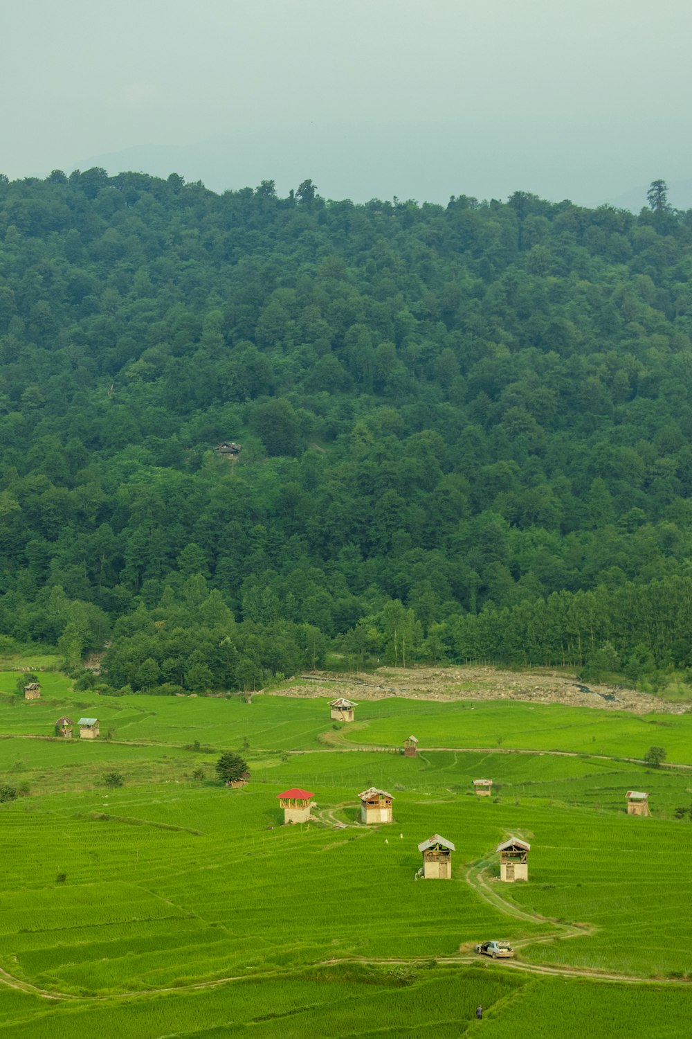 Un campo verde con casas y árboles