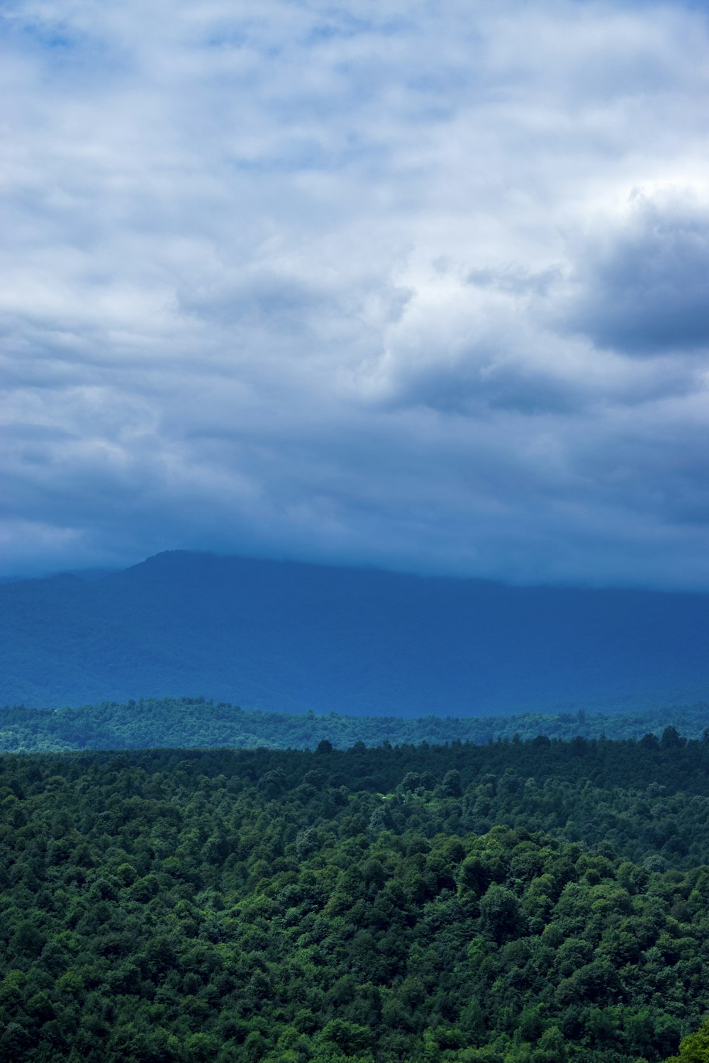 a landscape with trees and hills