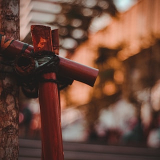 Several red bamboo sticks are bound together with black rope against a tree trunk. The background is softly blurred with rich, warm hues, suggesting a natural or outdoor setting.