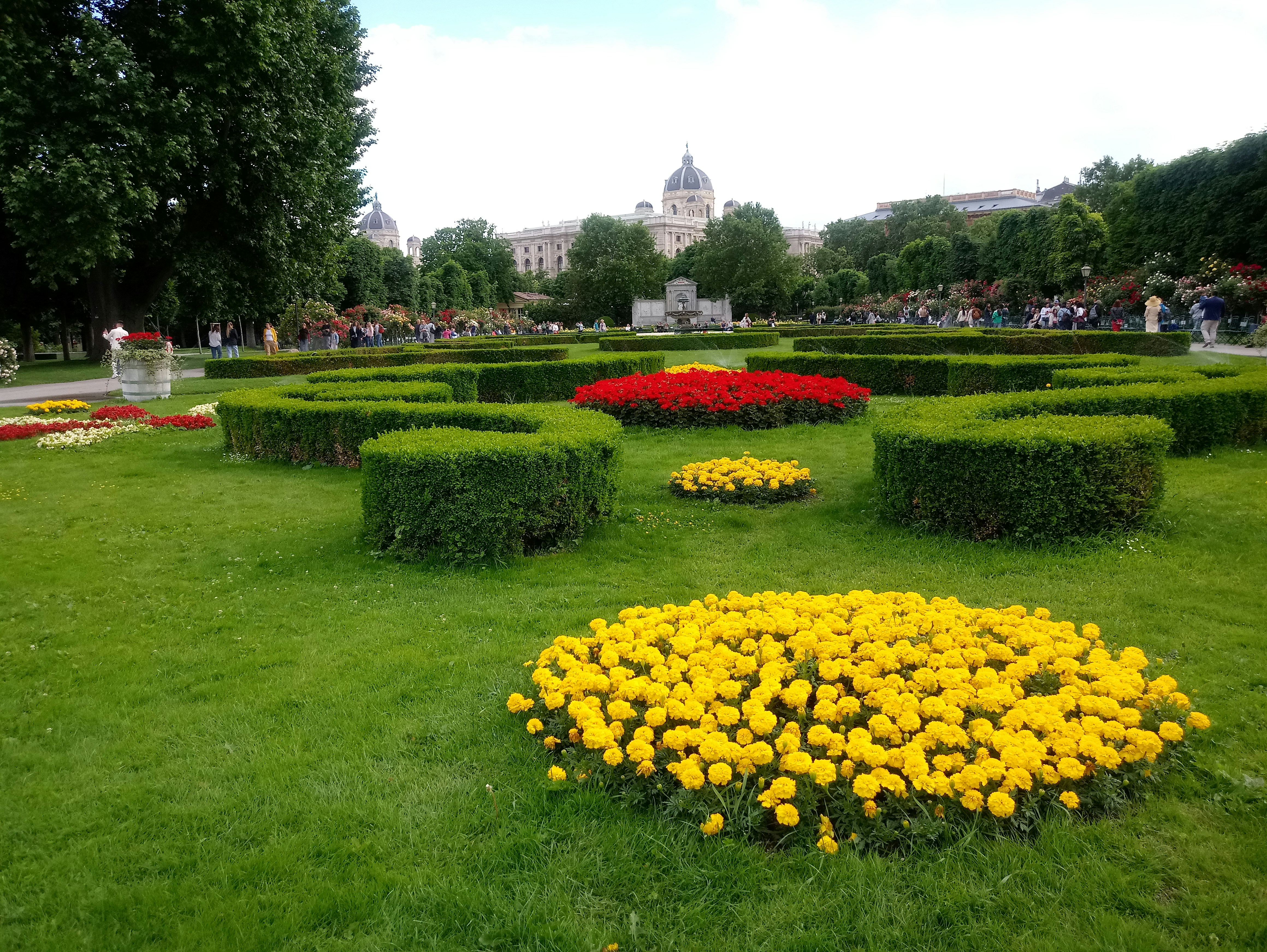 a garden with flowers and bushes