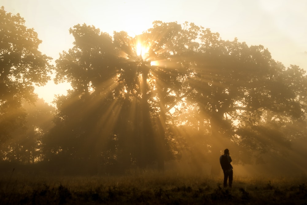 uma pessoa em pé em um campo com árvores no fundo