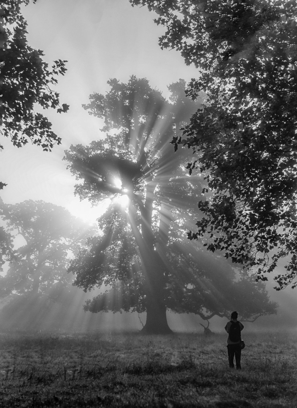 a person standing next to a tree