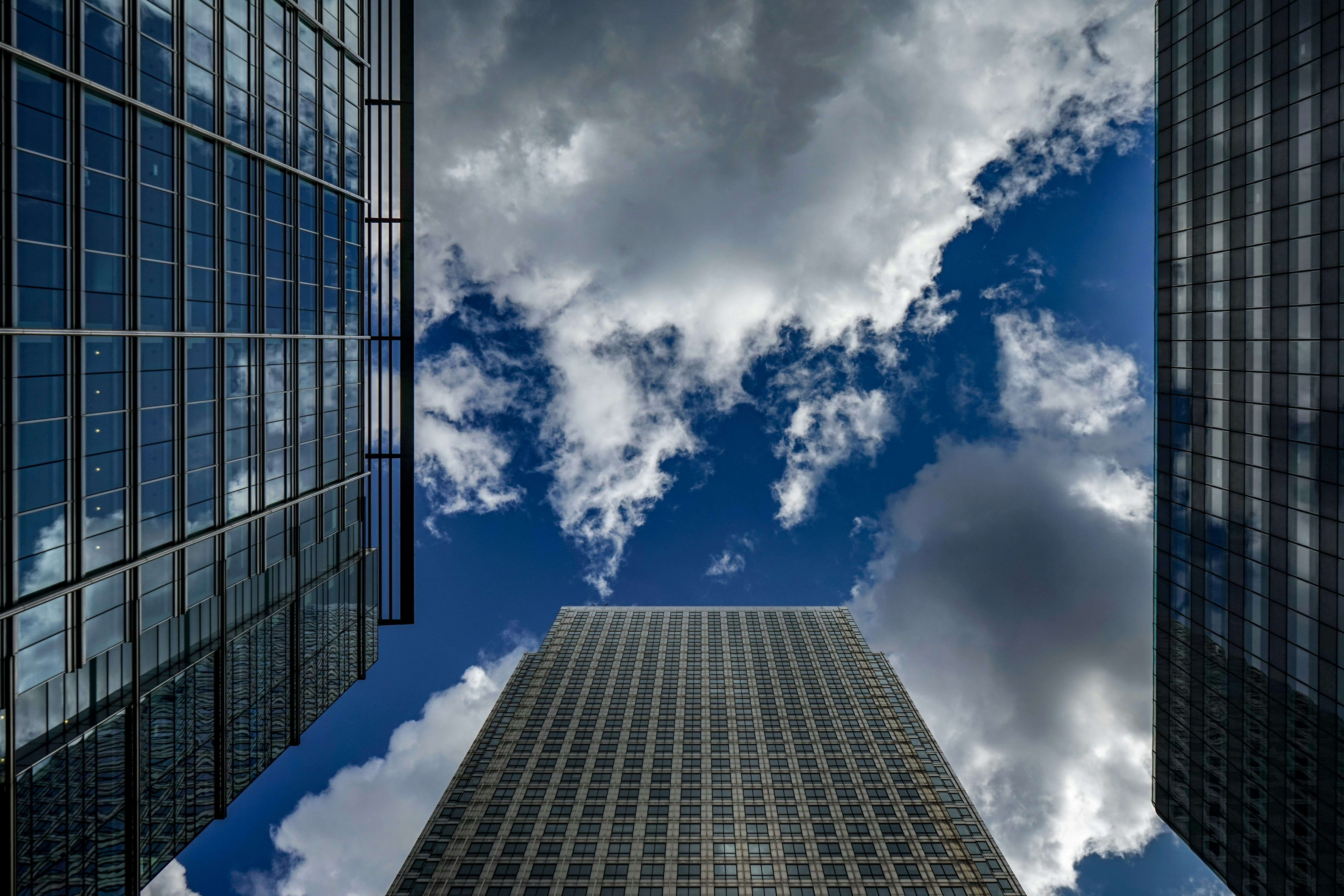 The Cloud, forming the Backbone of the Economy