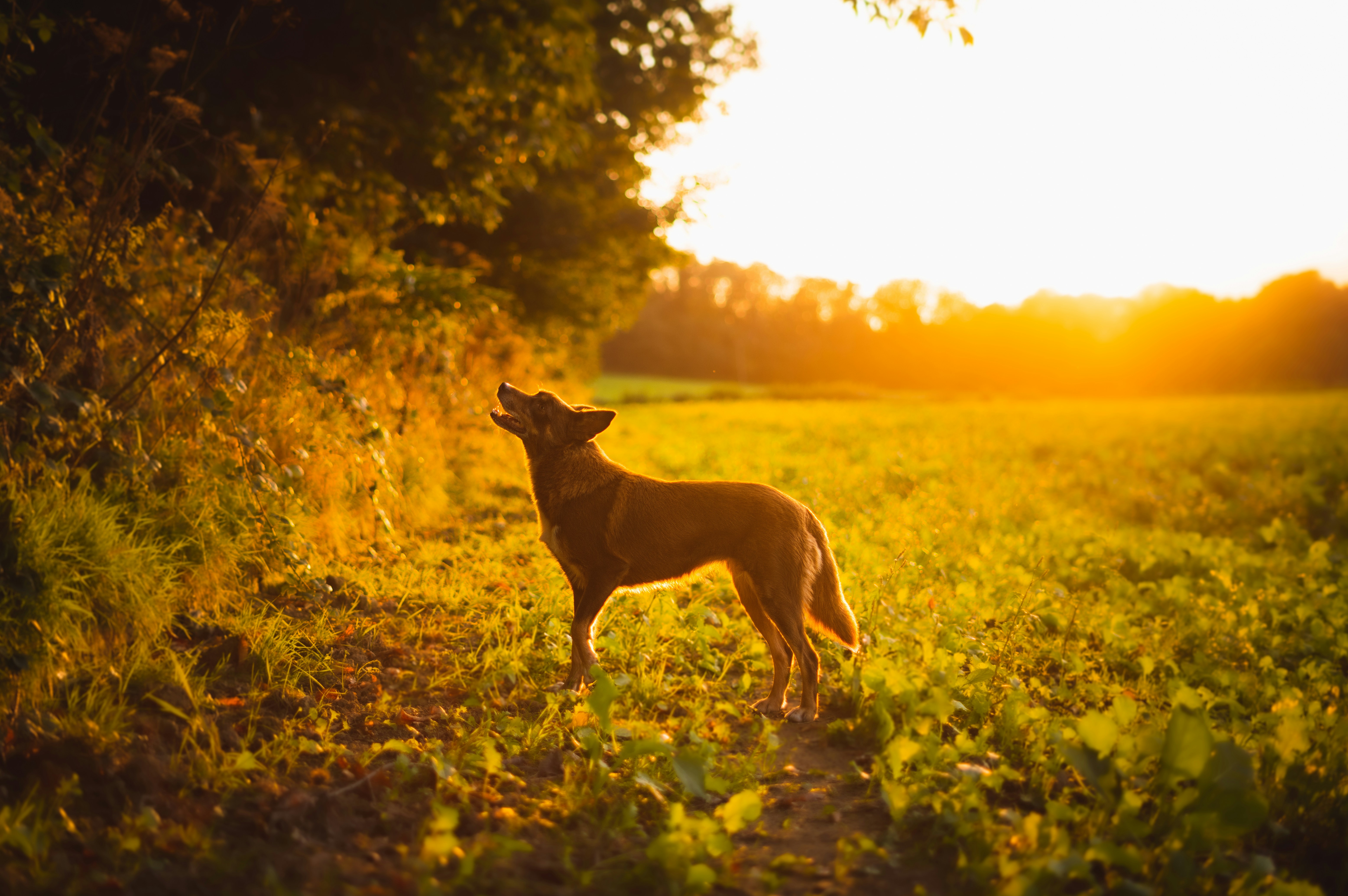 Photo by ajeetpanesarphotography